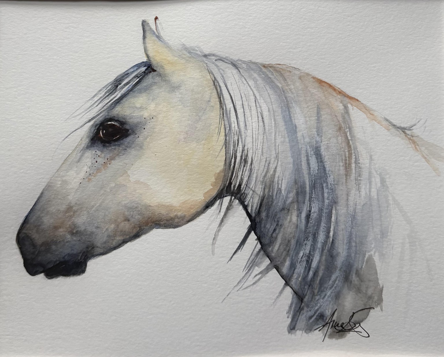 Italian Grey - image 1 - student project