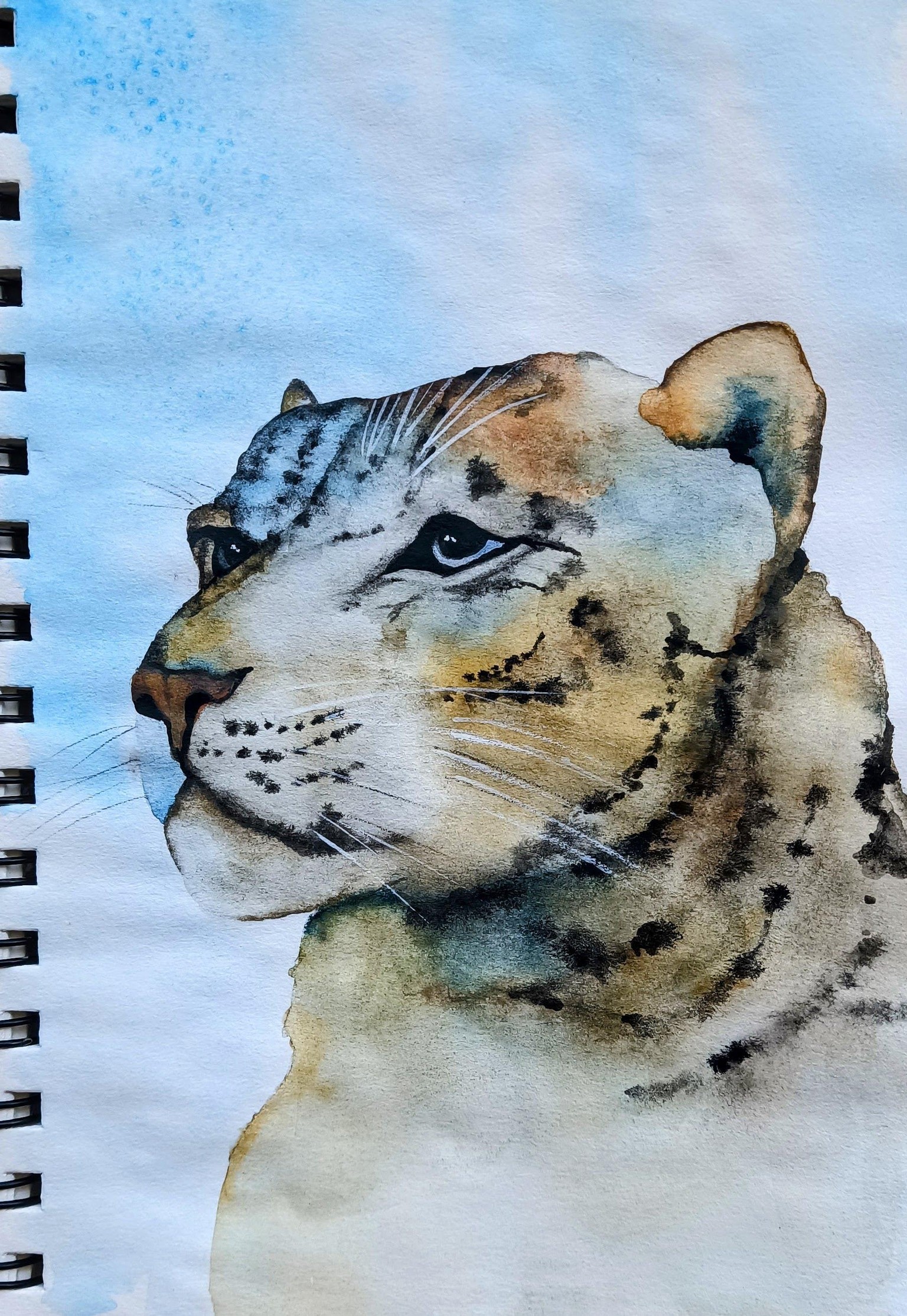 My try with the Snow Leopard - image 1 - student project