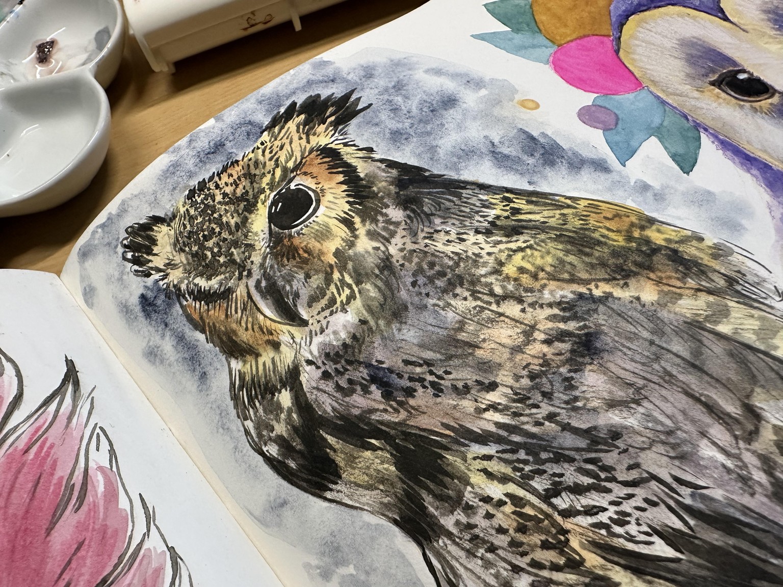 Owls Sketchbook Challenge - image 6 - student project