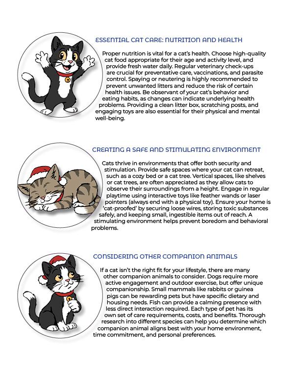 Cat Care - image 4 - student project