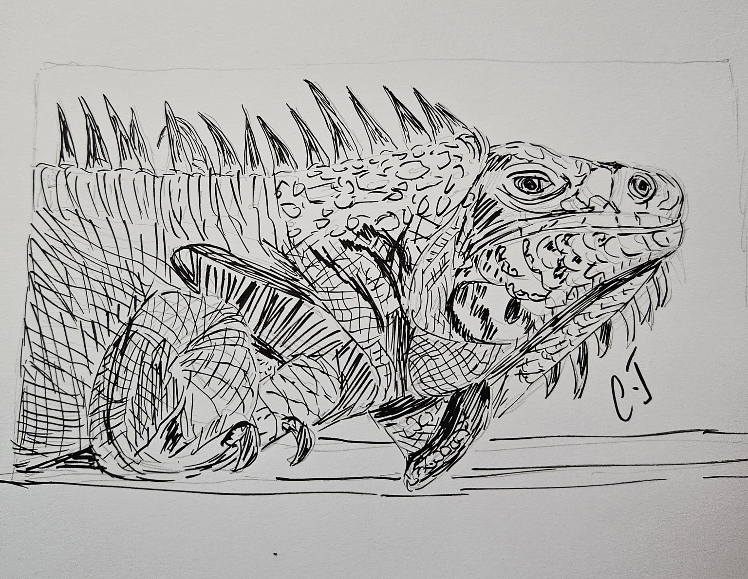 Clean doodle pen inks - image 1 - student project
