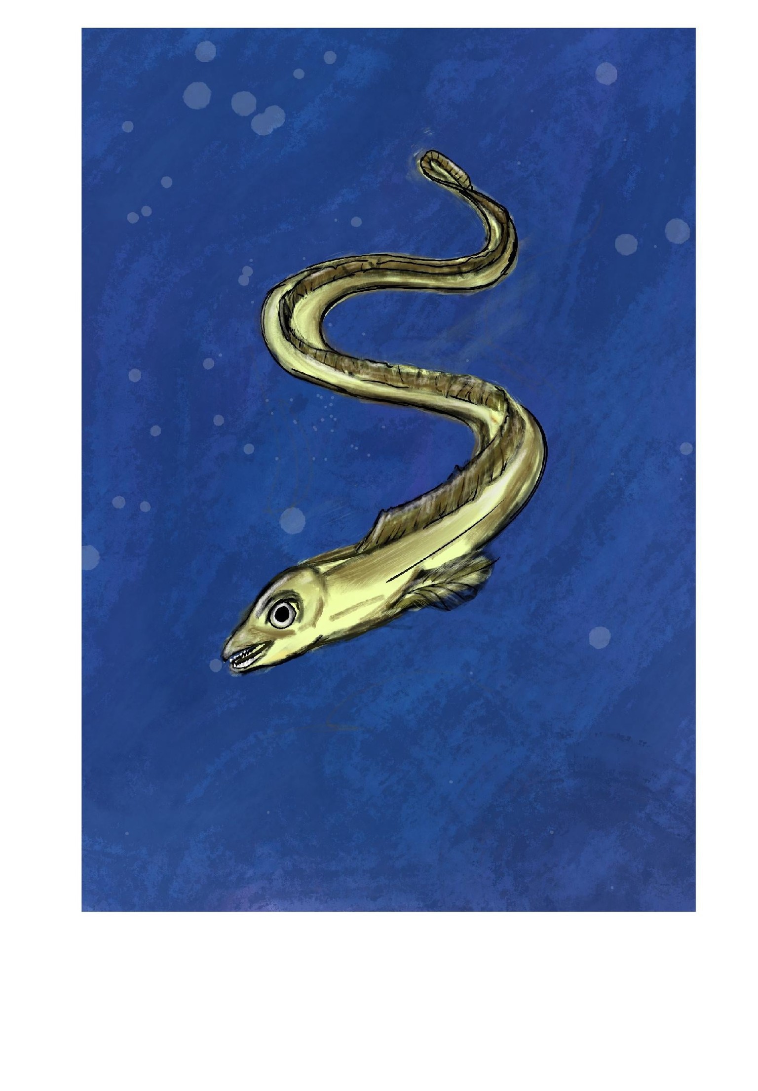Project Seacreature Eel - image 1 - student project