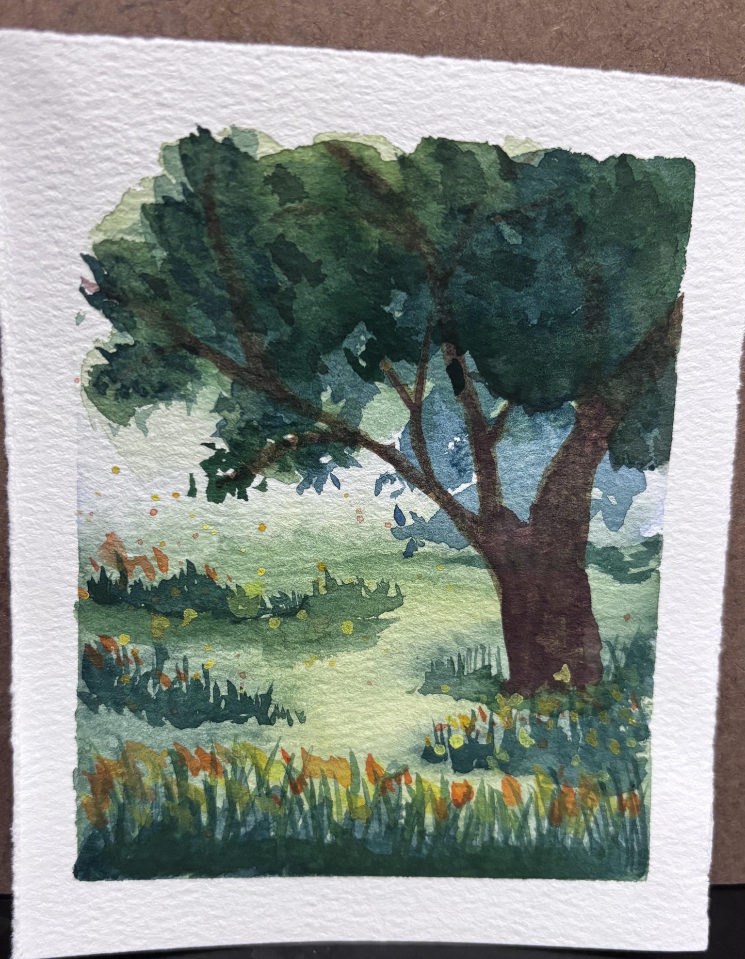 25 Days of Landscapes - image 6 - student project