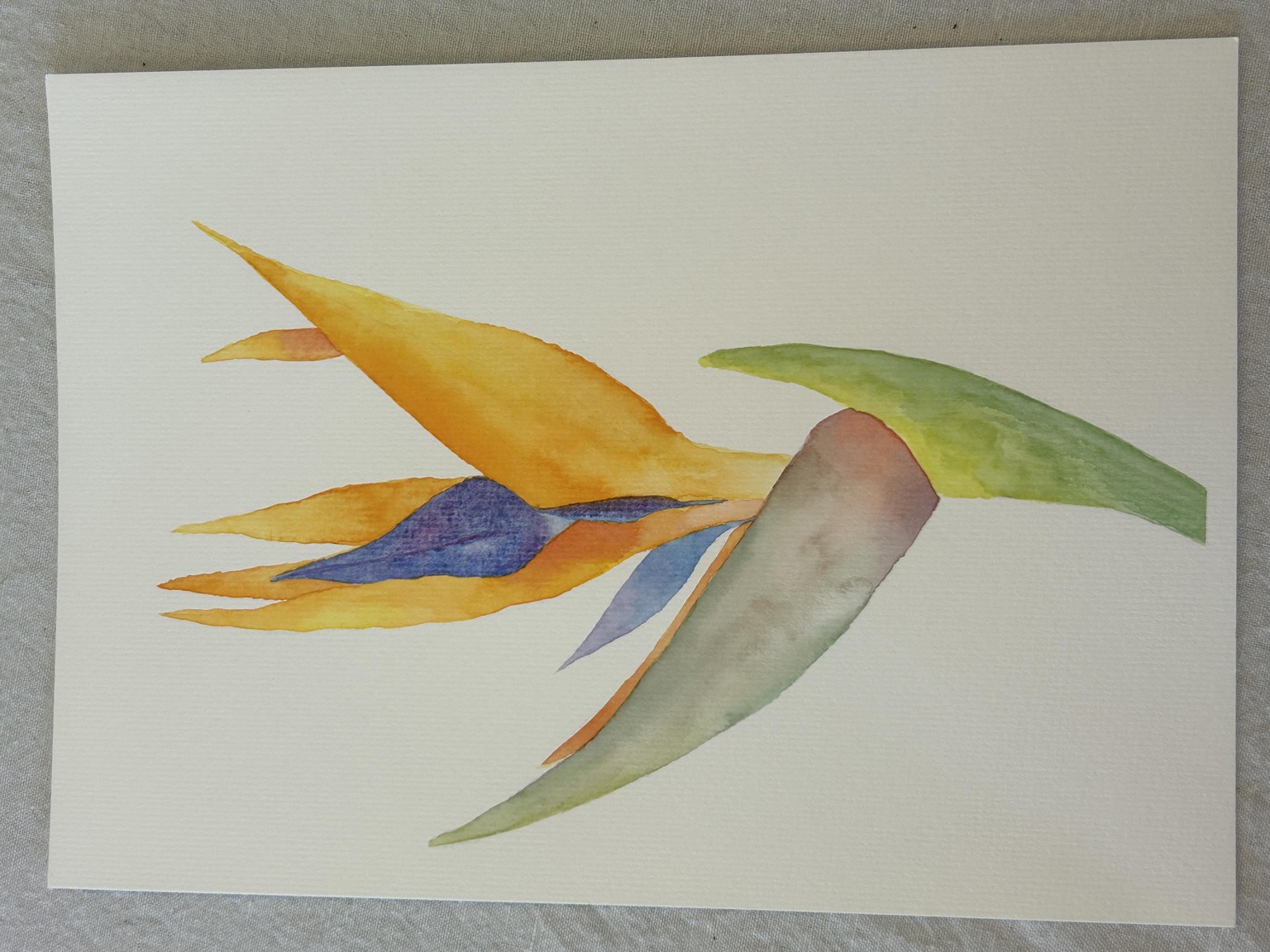 Bird of Paradise Flower - image 1 - student project