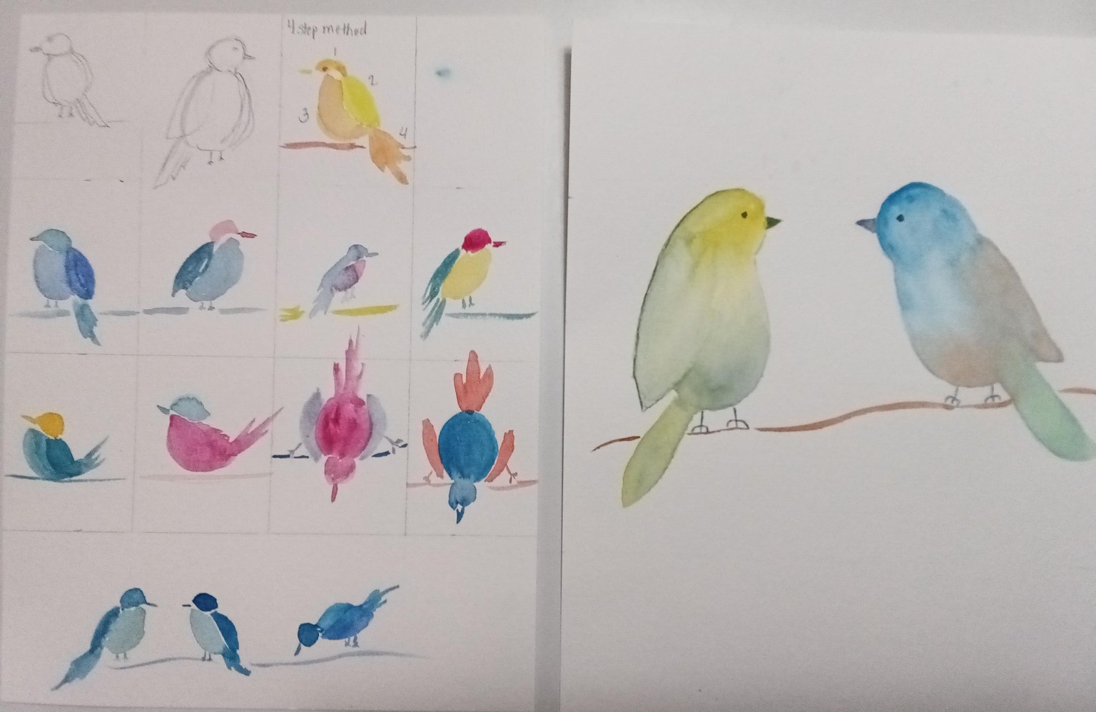 Cute bird practice - image 1 - student project