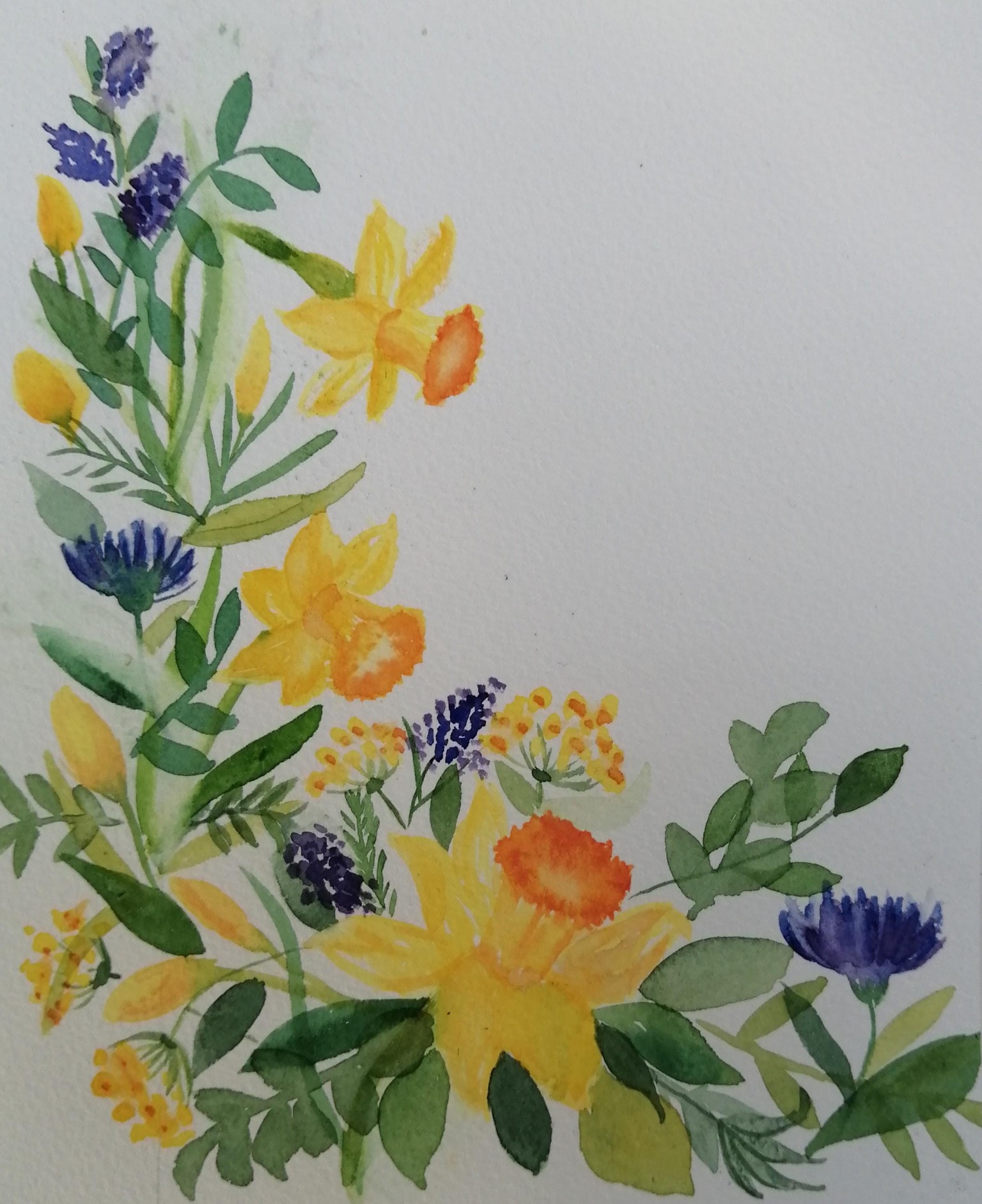 Jonquilles - image 1 - student project