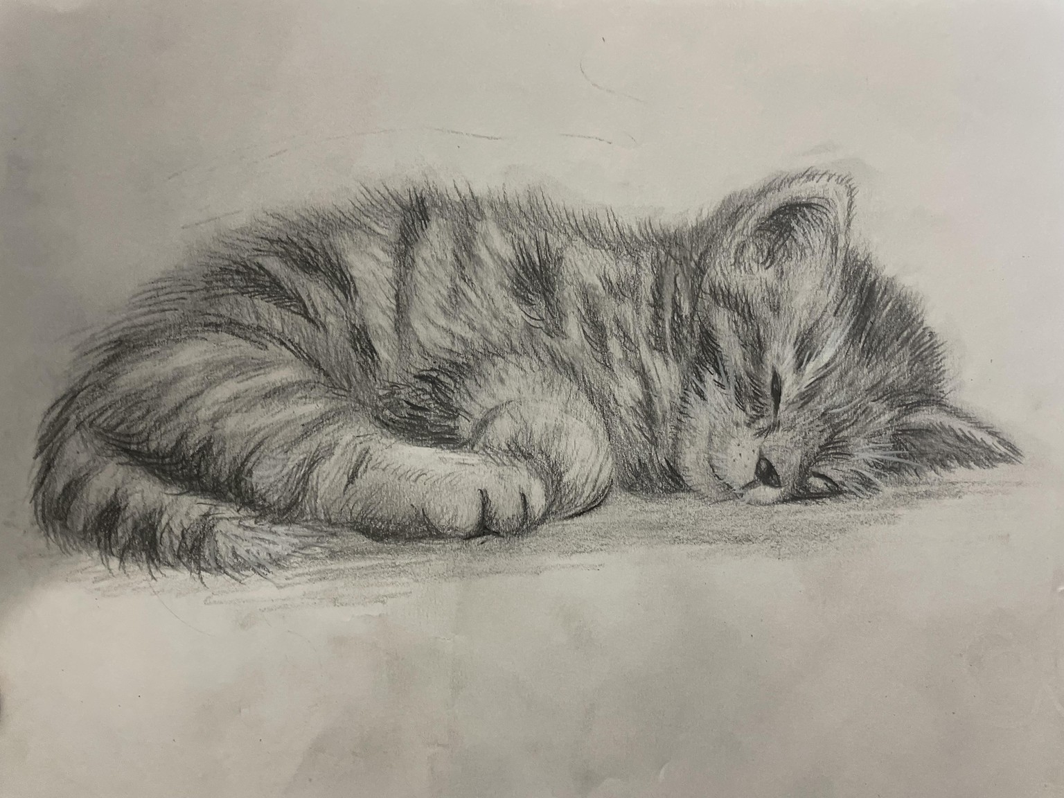 Messy Kitten - image 1 - student project