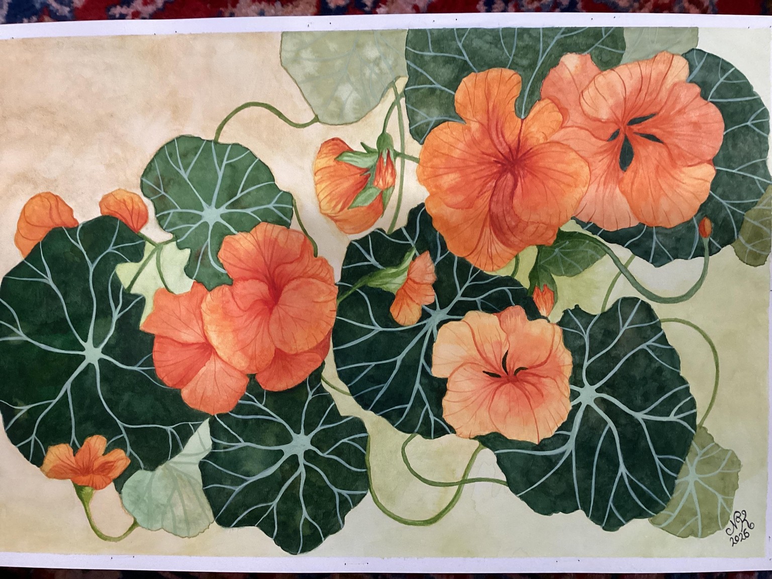 My new year nasturtium… - image 1 - student project