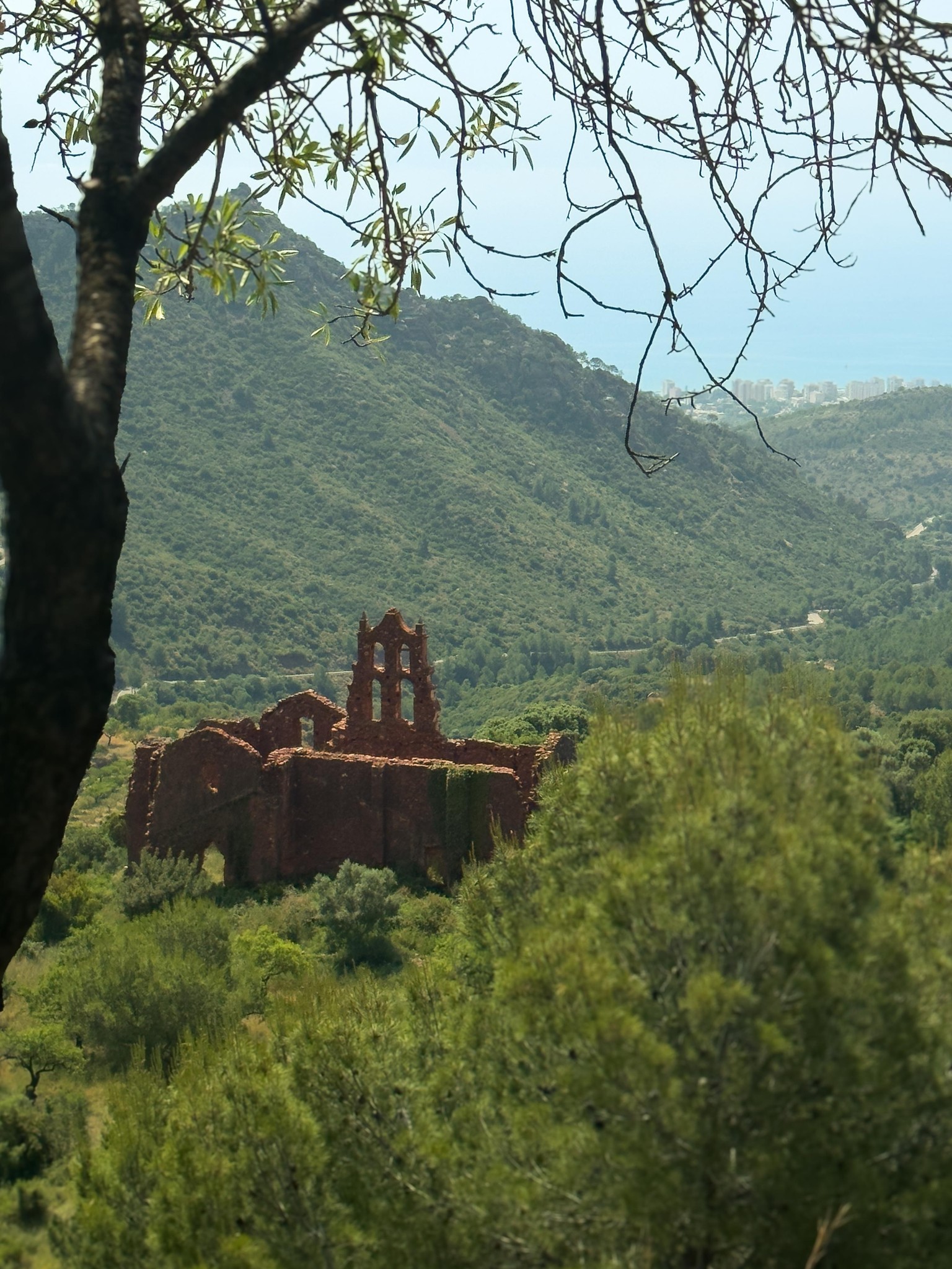 A Ruin in Nature - image 1 - student project