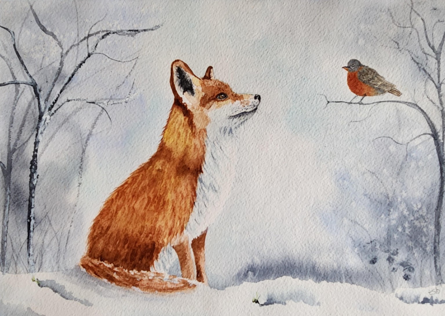 Fox and huge Robin - image 1 - student project
