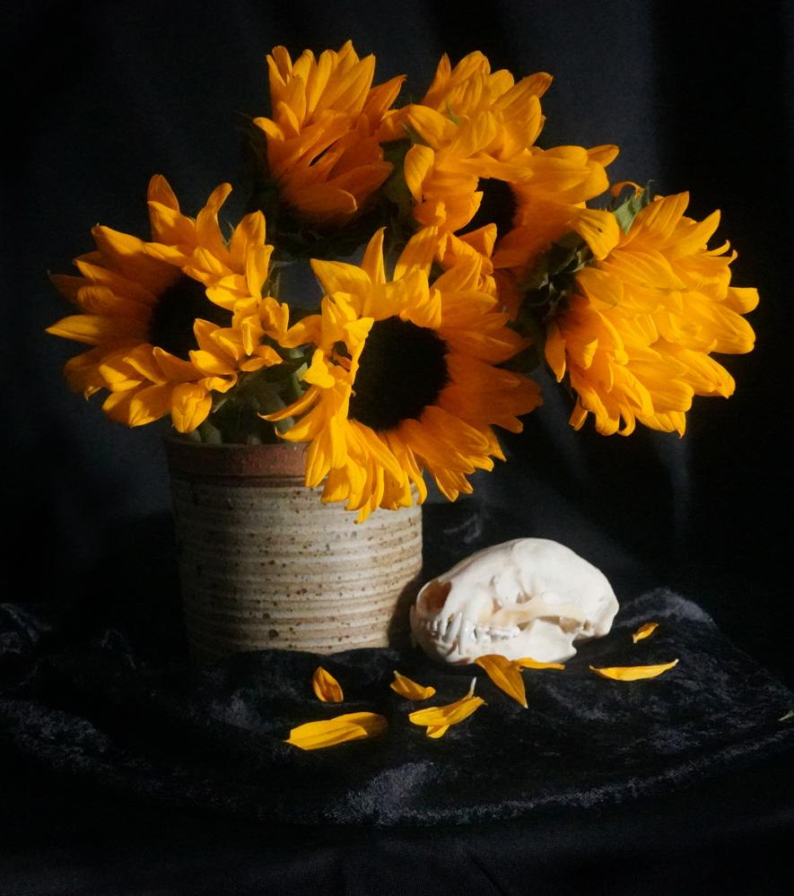Still Life and Death - image 4 - student project