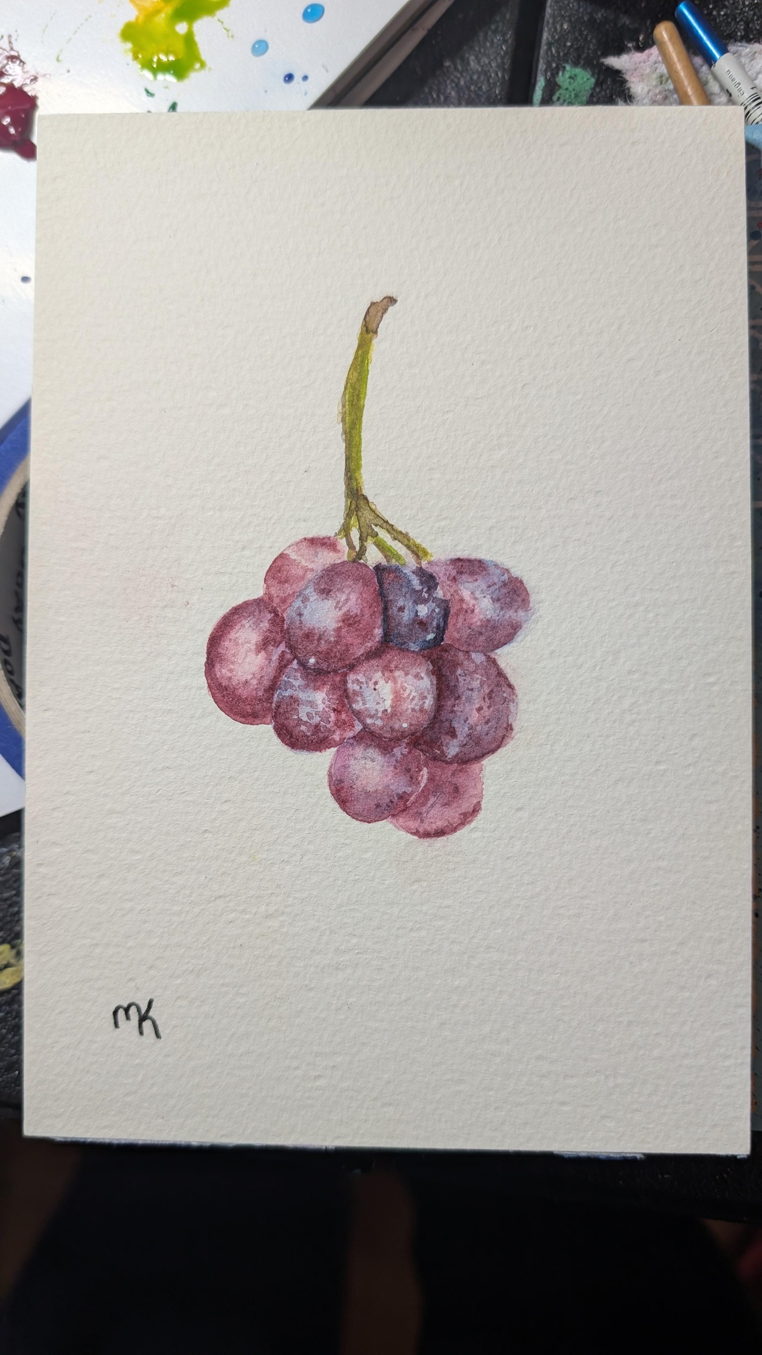 Grapes - image 1 - student project