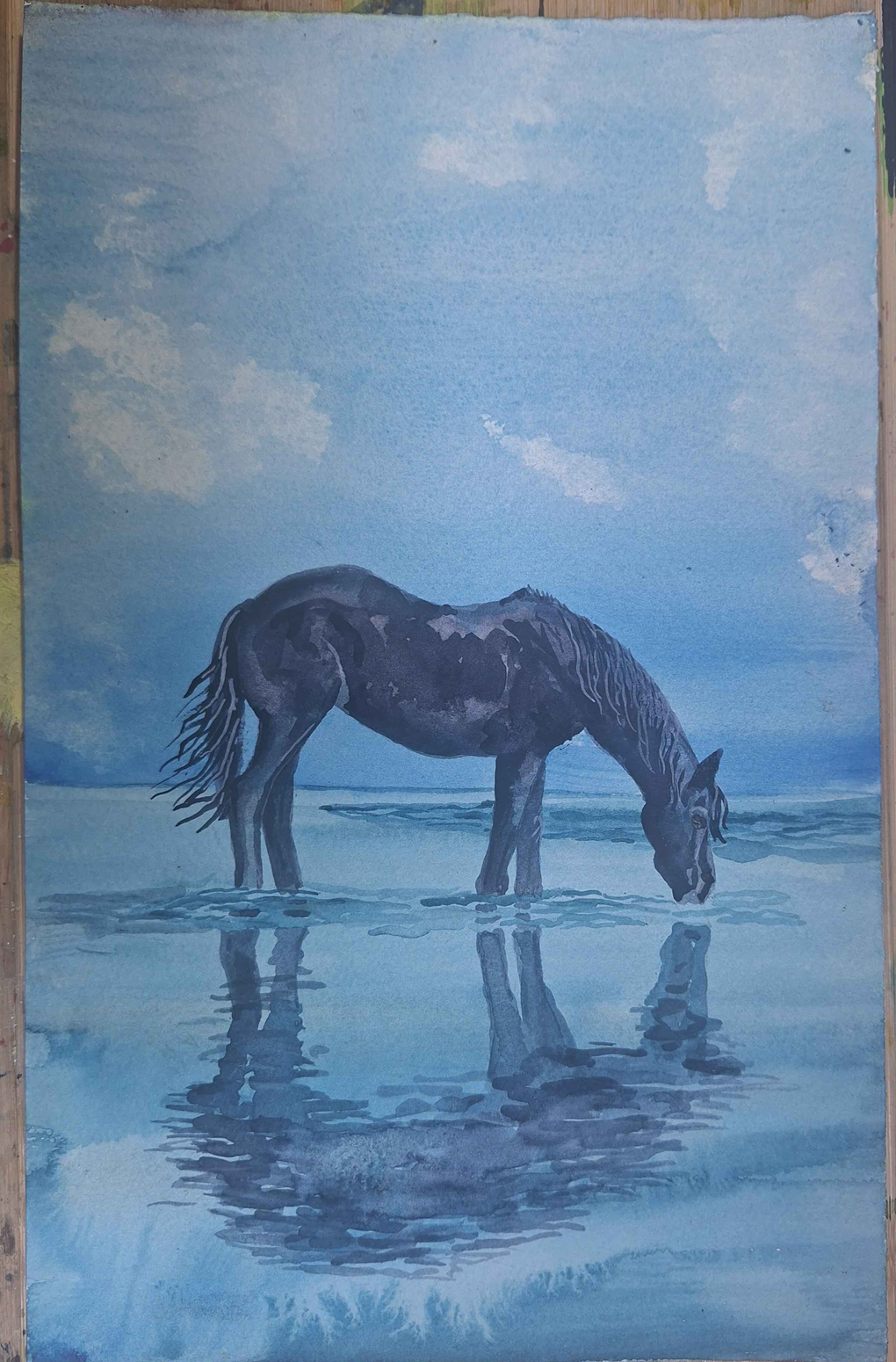 Beachhorse (3) - image 2 - student project