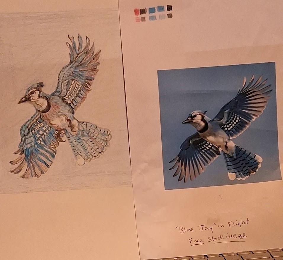 Natural Forms, Geometric shapes Blue jay. - image 7 - student project
