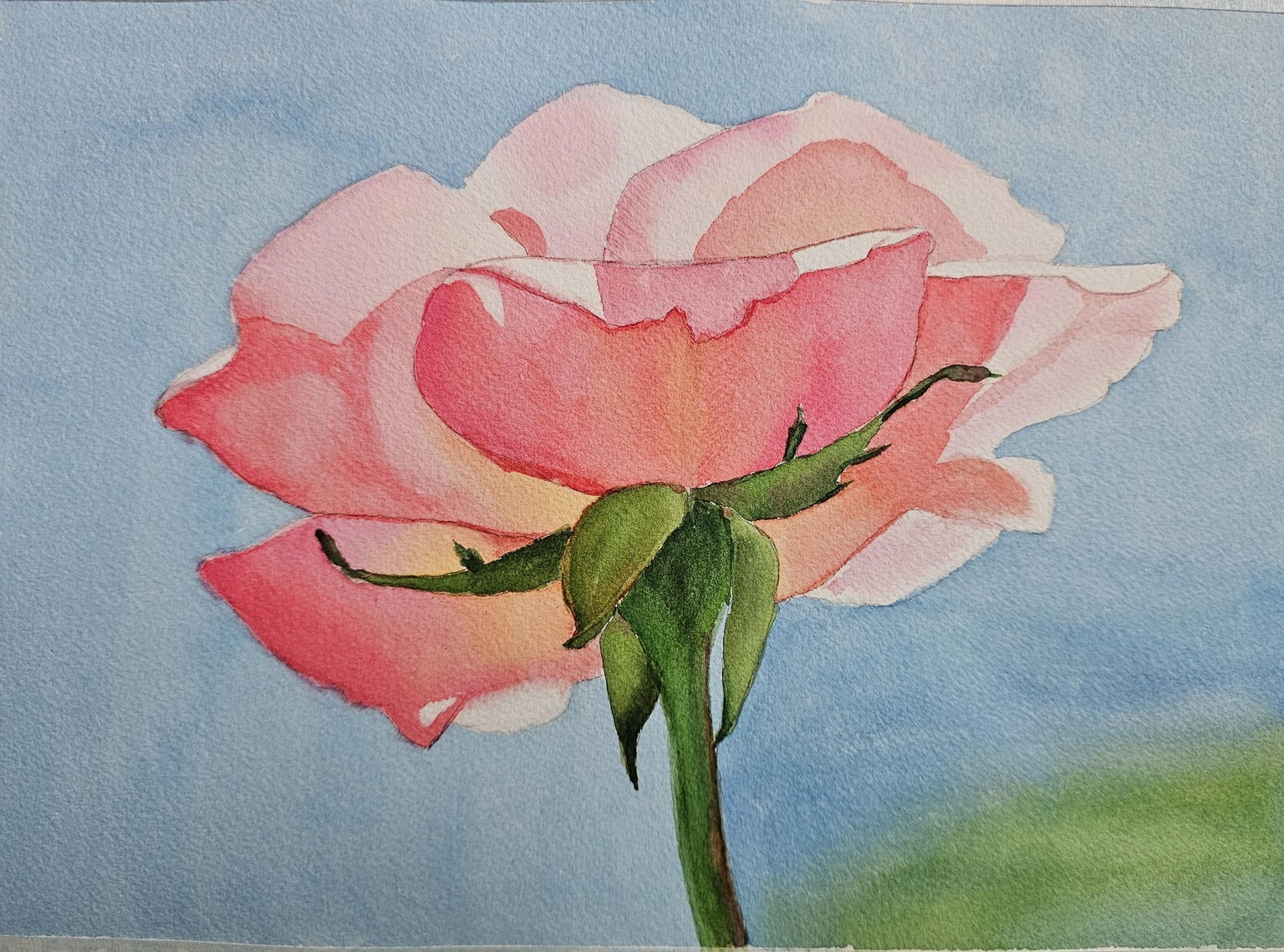 Rose tutorial - image 1 - student project