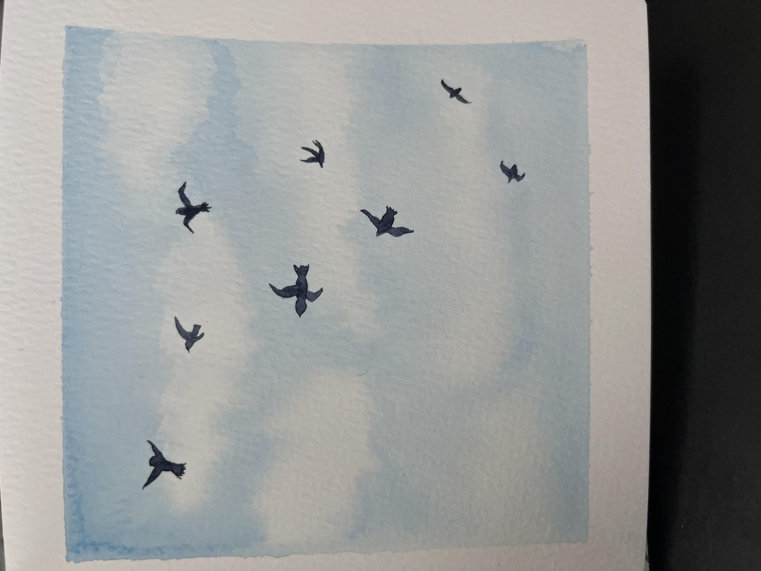 Birds in the sky! - image 1 - student project