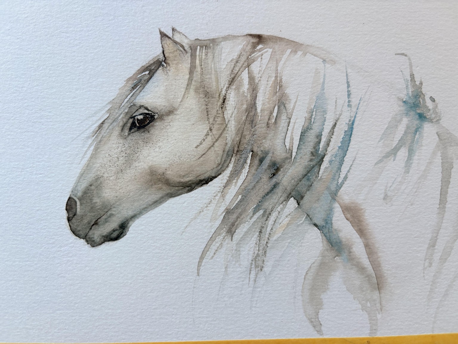 White Italian Horse - image 2 - student project