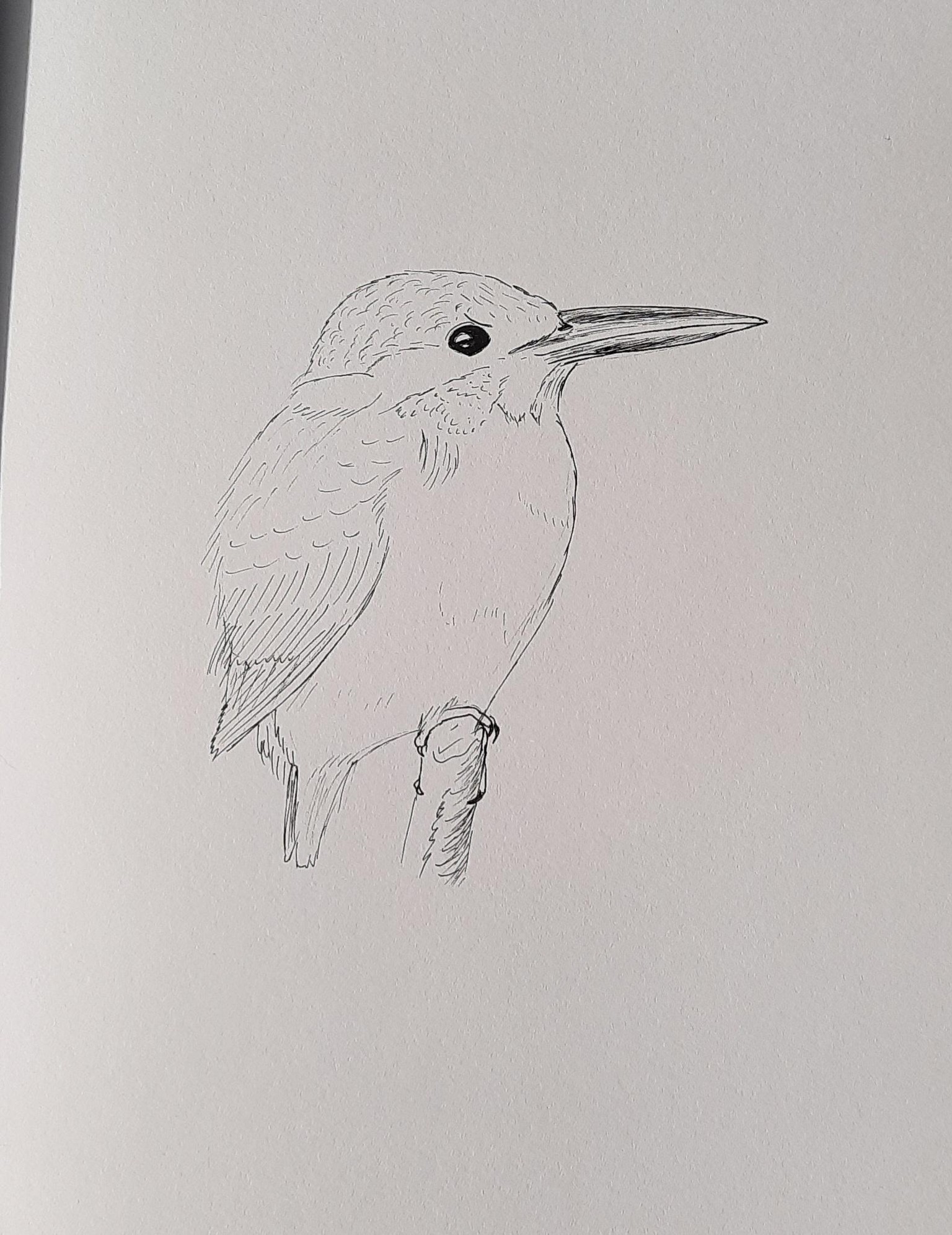My Sketches - image 2 - student project