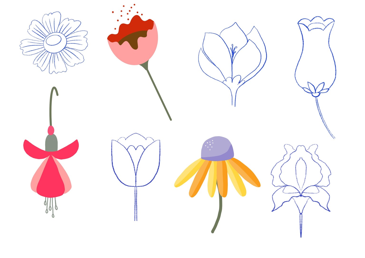 Pretty bouquet - image 5 - student project