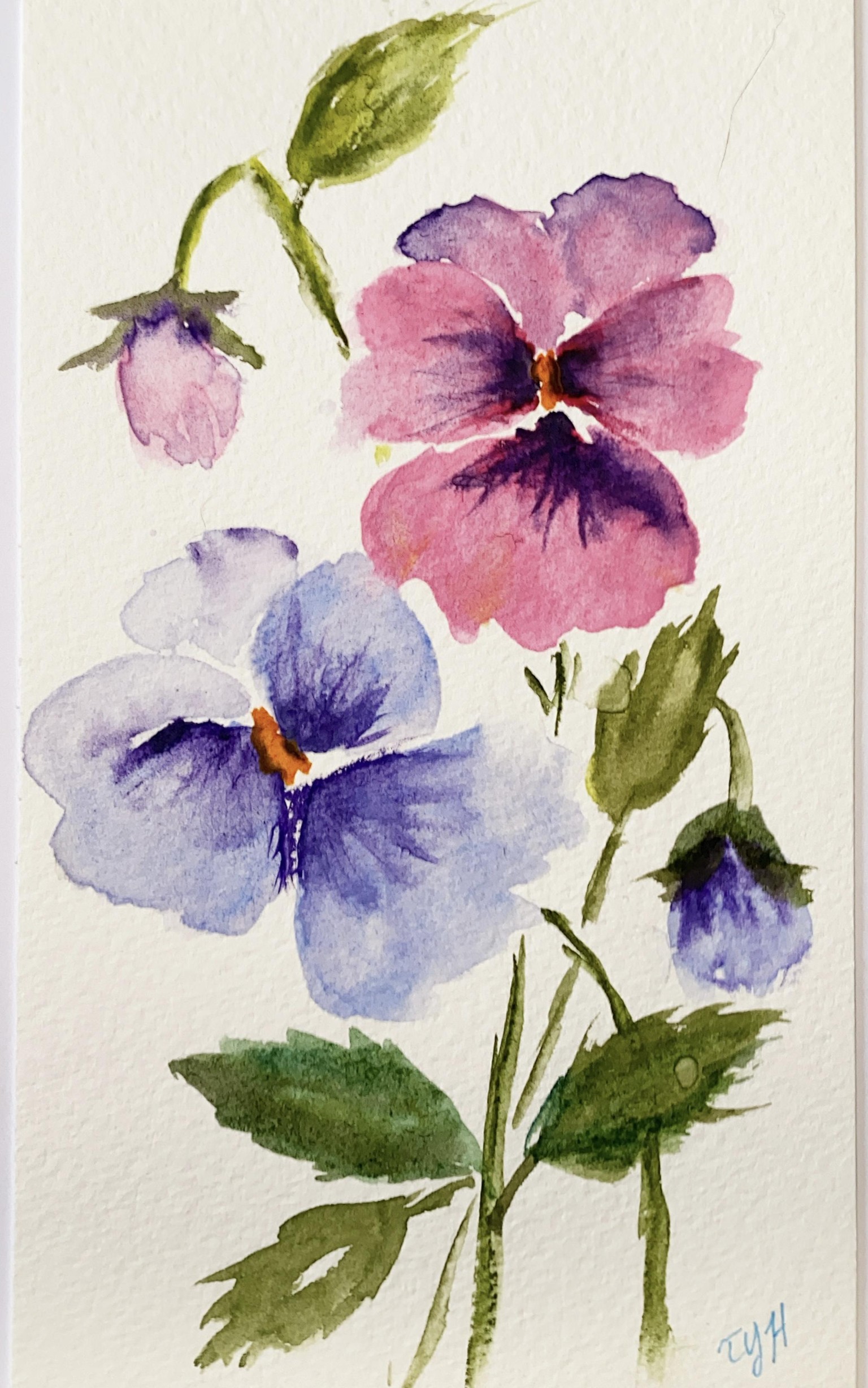 Pansies and cosmos - image 1 - student project