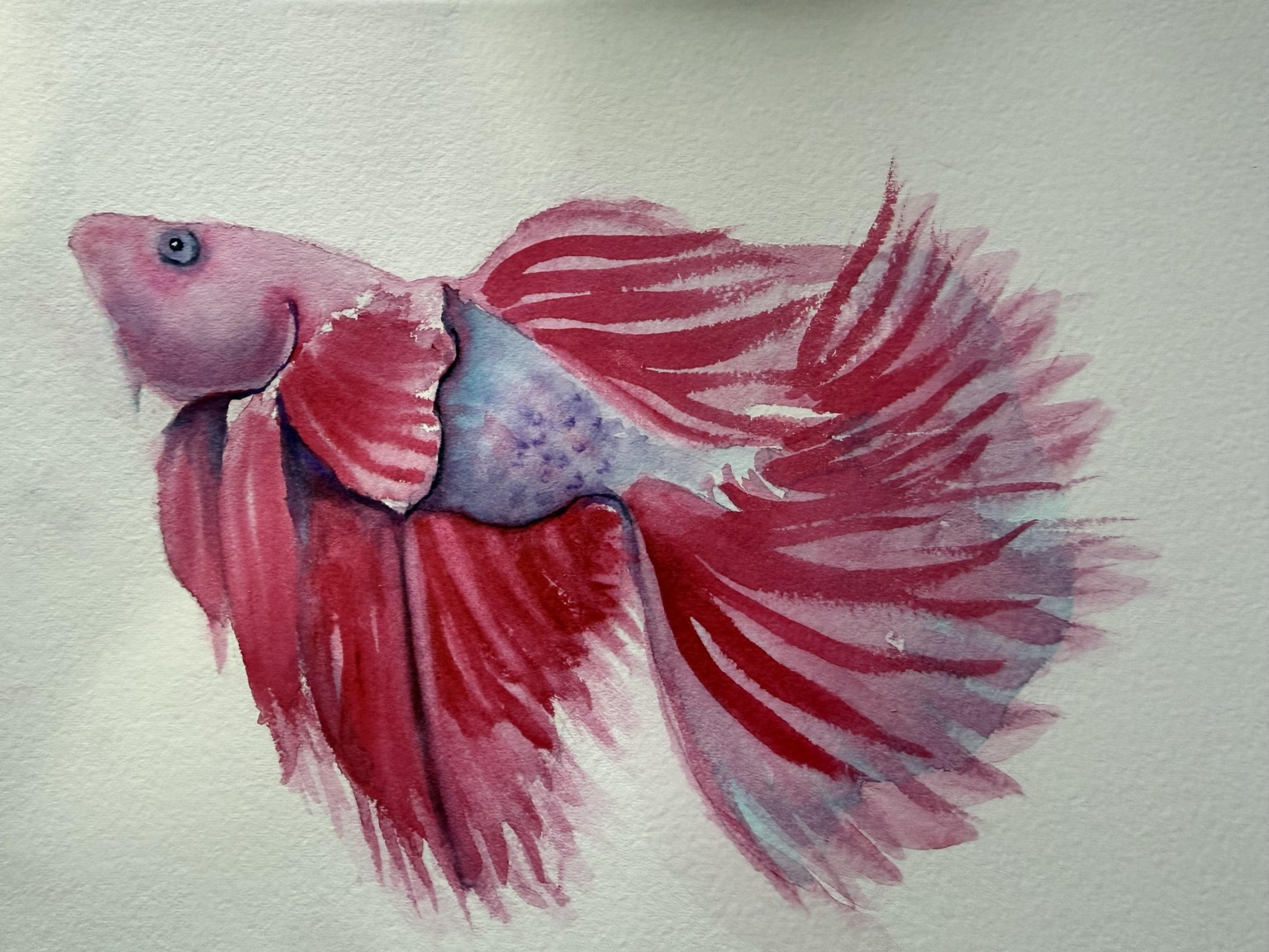 My Beta Fish - image 1 - student project
