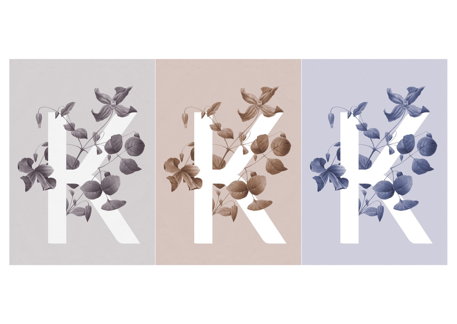 Botanical Design Exploration - image 5 - student project