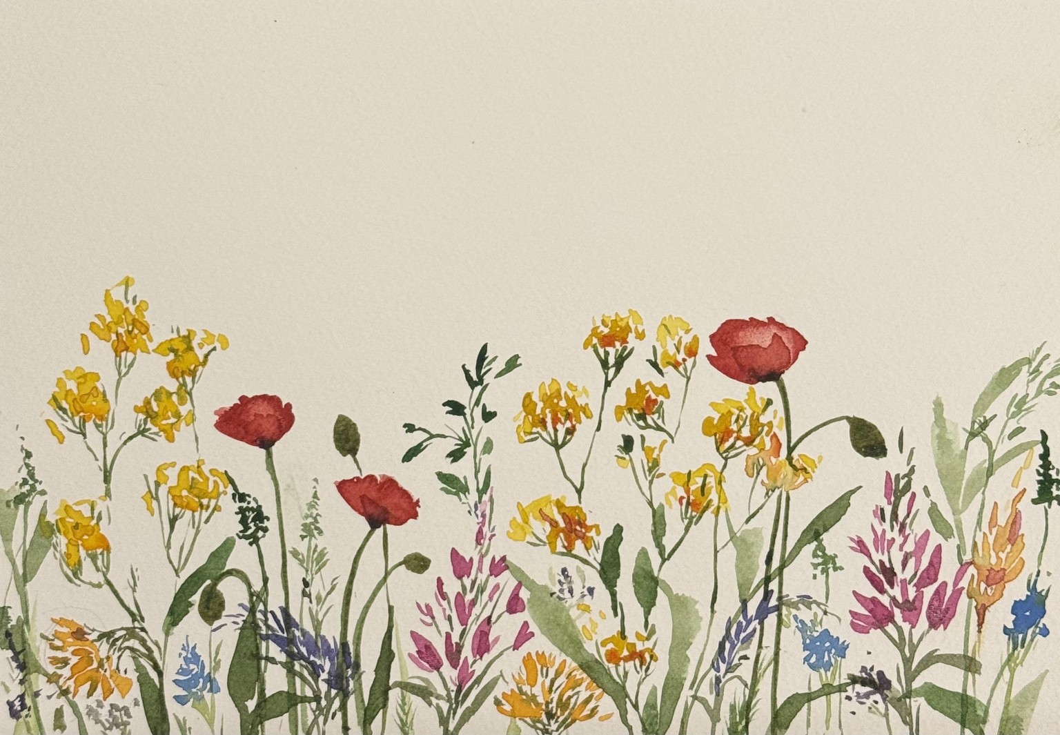 Wildflower meadow - image 1 - student project
