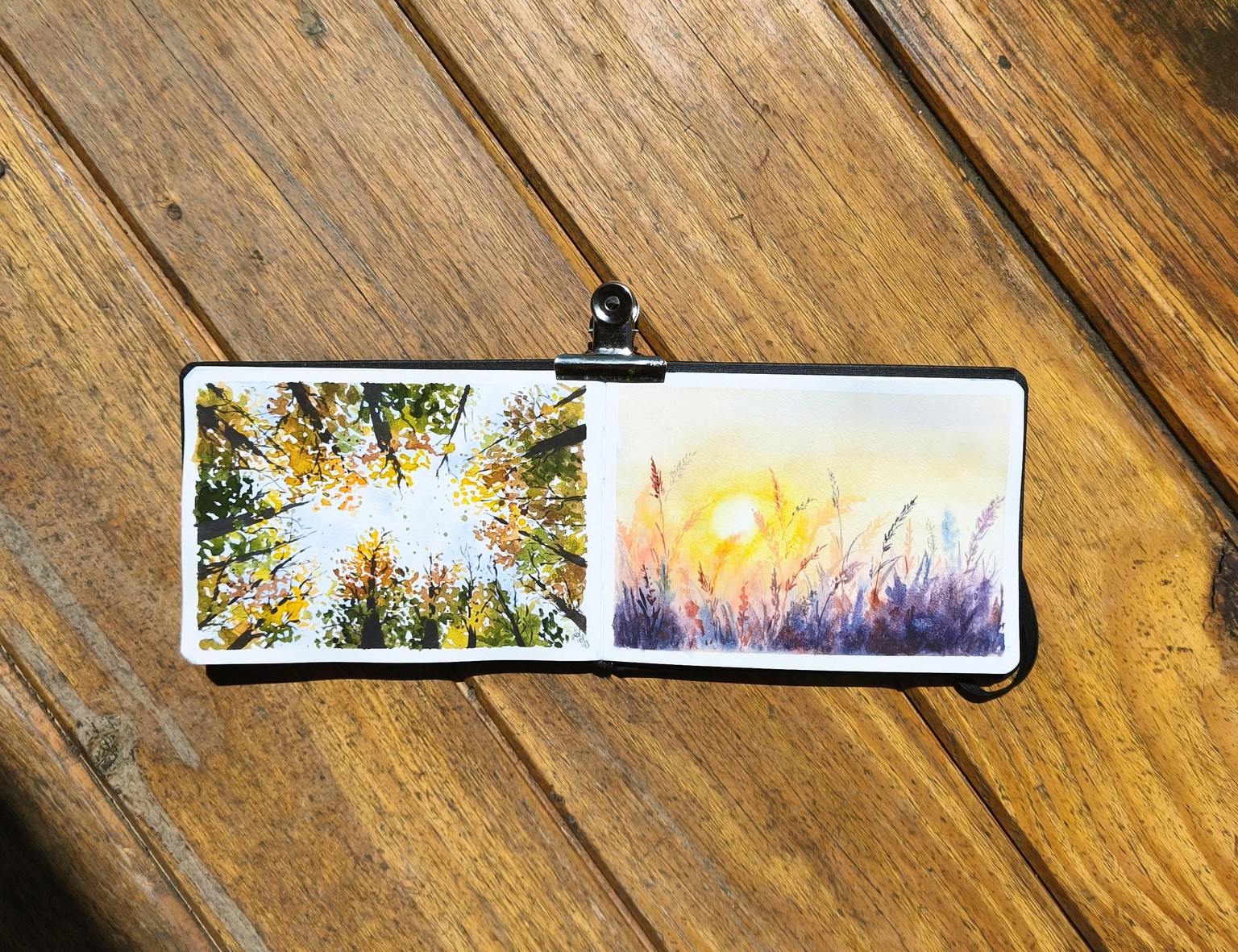 Puesta de sol en el campo - image 3 - student project