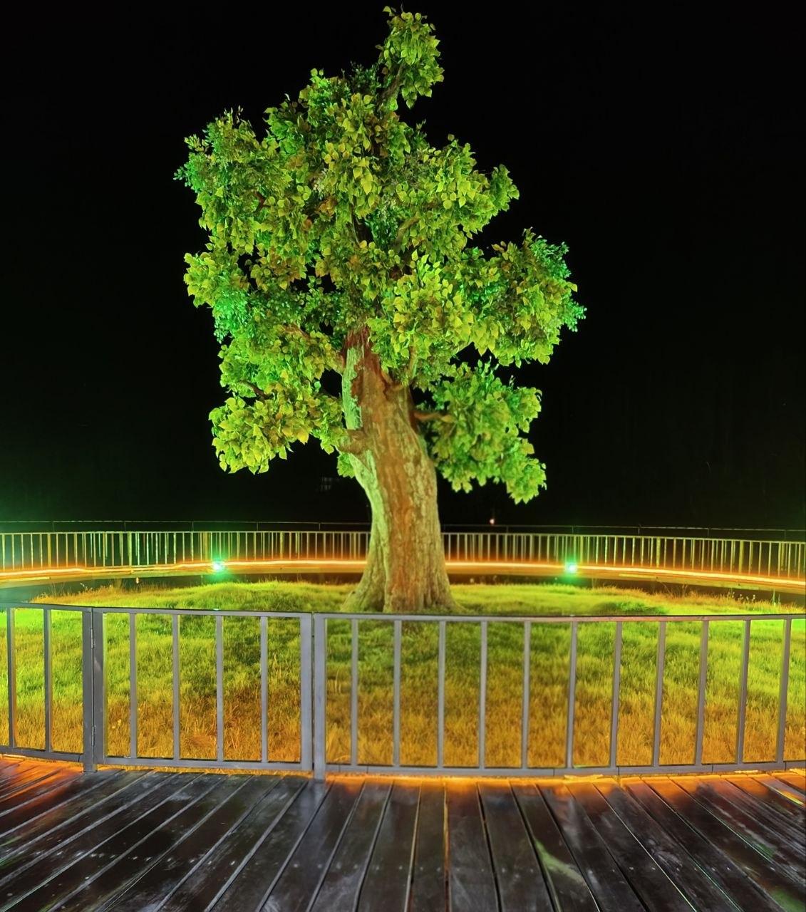 Urban sketching: The Issyk-Kul Tree (Digital ) - image 2 - student project