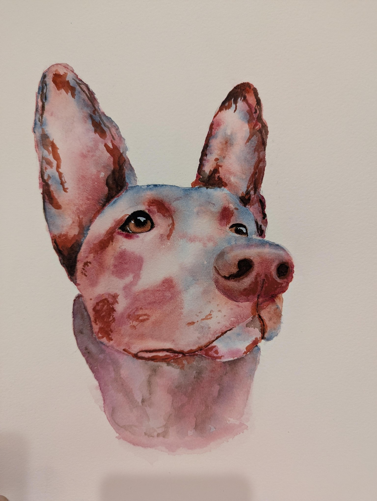 Pups - image 3 - student project