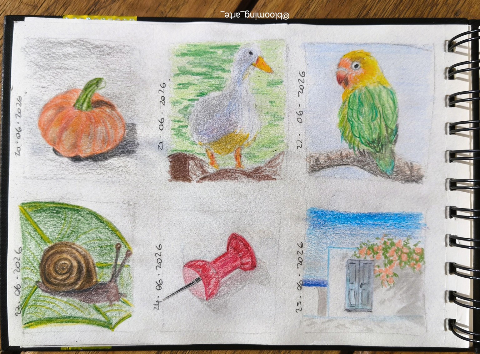 5 Minute Sketches: Colored Pencil Thumbnails for Better Paintings - image 3 - student project