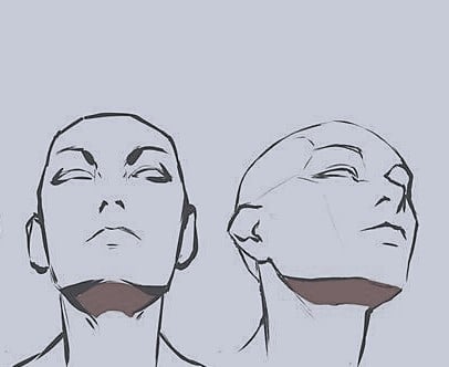 rostro y angulo - image 1 - student project
