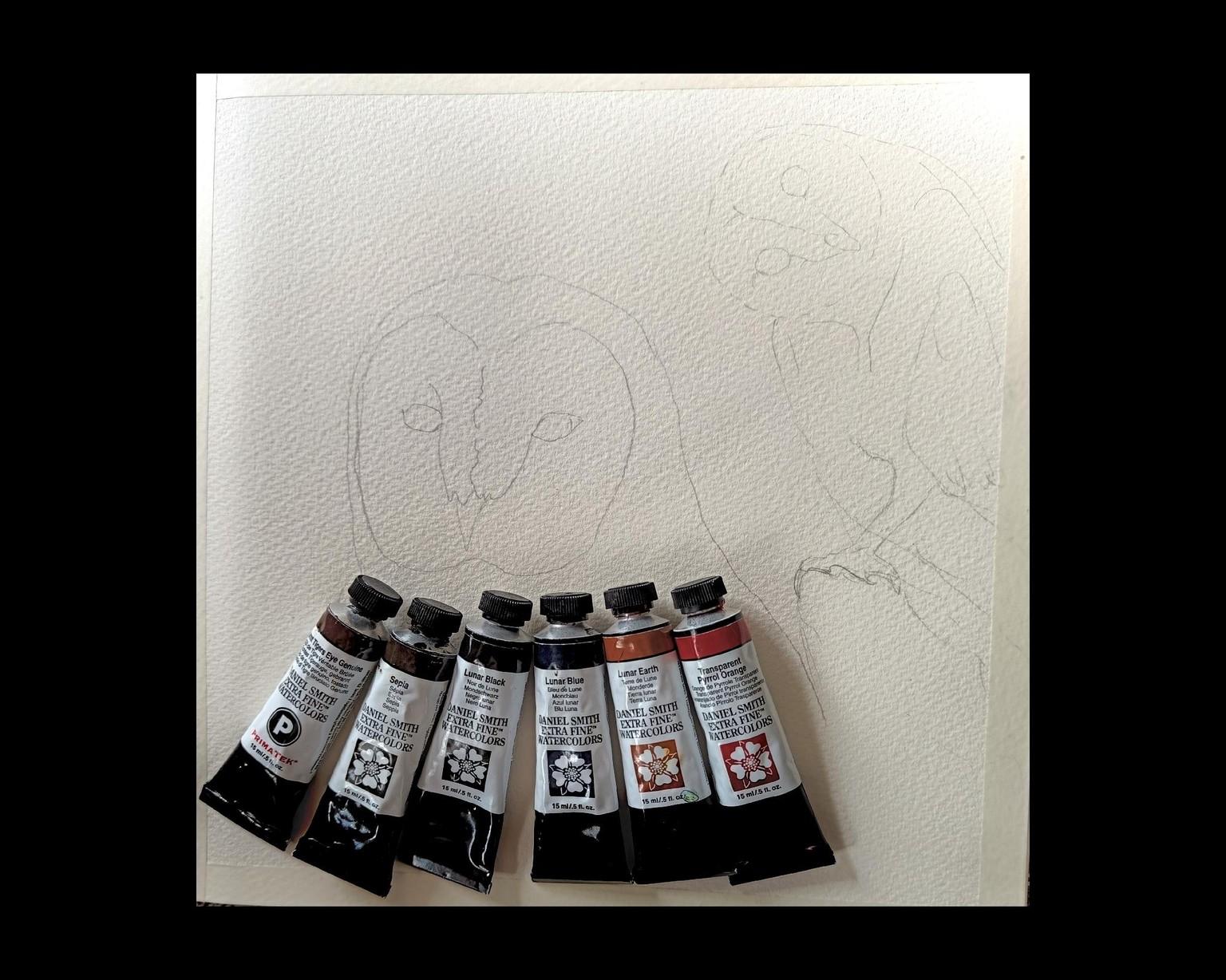 Barn Owls with Jane - image 2 - student project