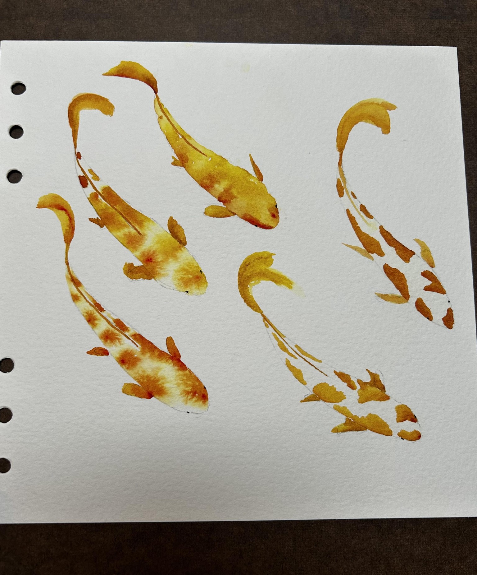 Koi fish - image 1 - student project