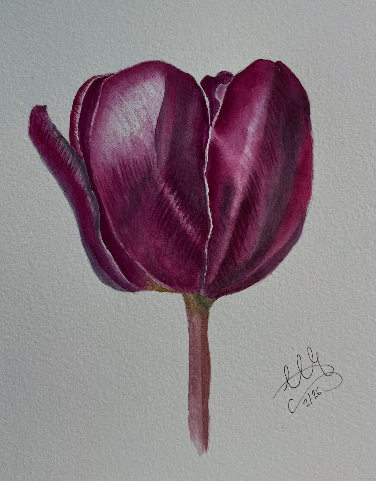 Tulip - image 1 - student project