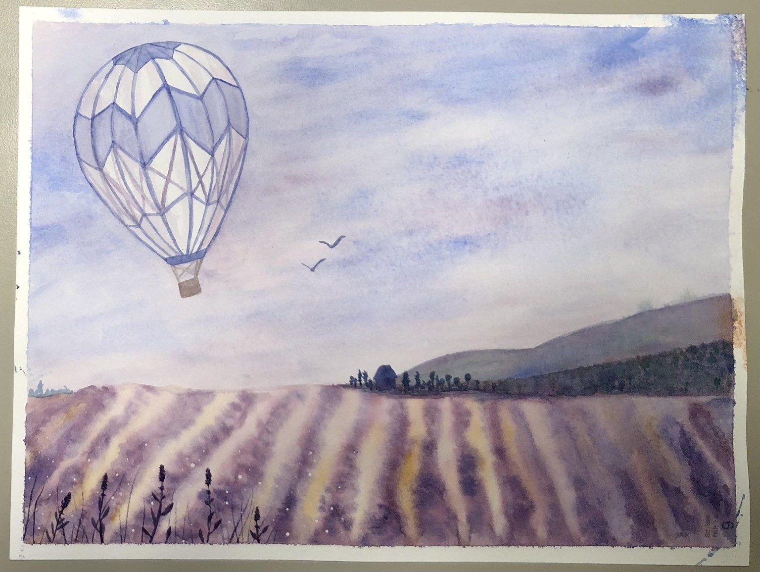 Hot Air Balloon Over Lavender Field - image 1 - student project
