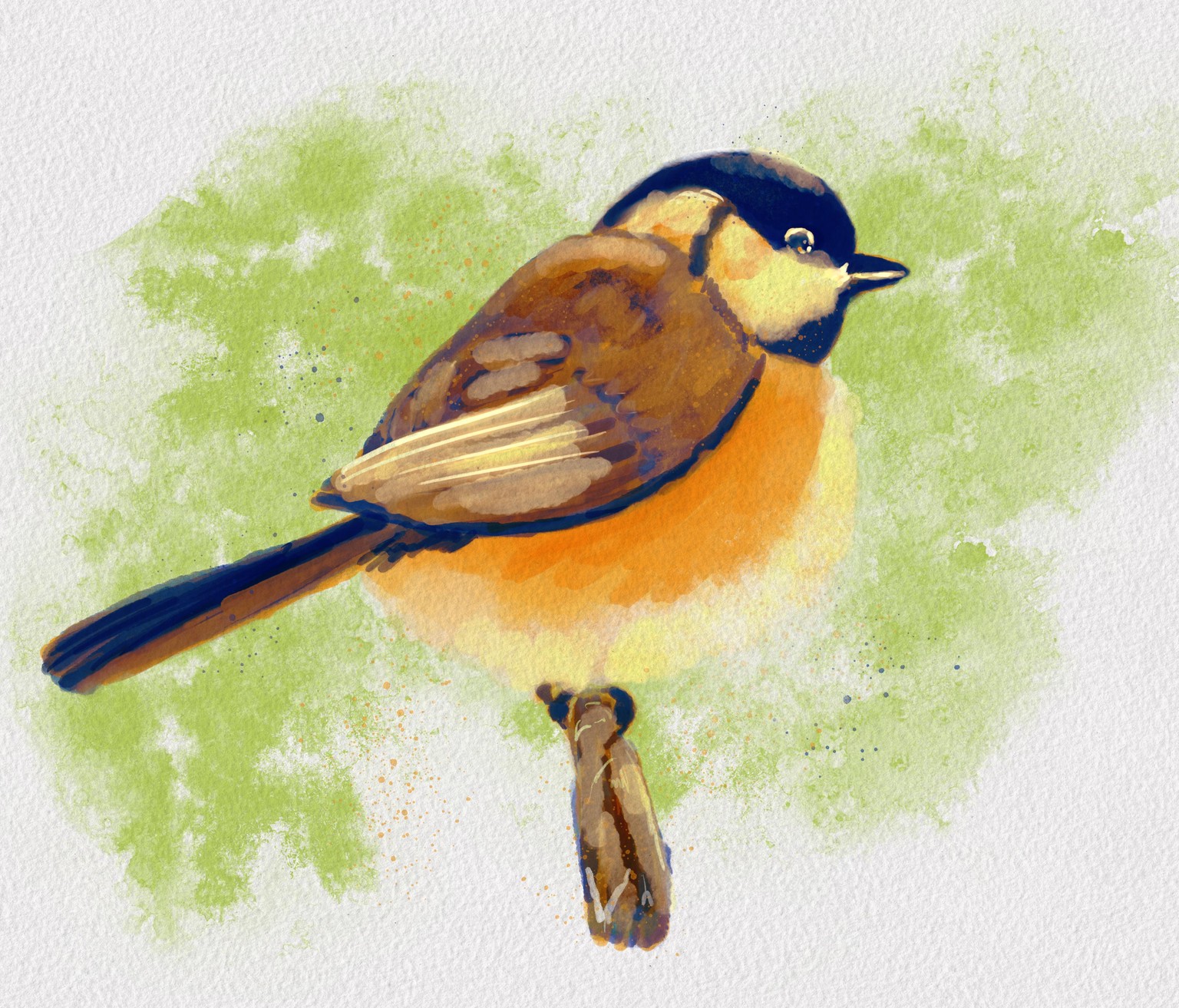 Chickadee and Sea Turtle - image 2 - student project
