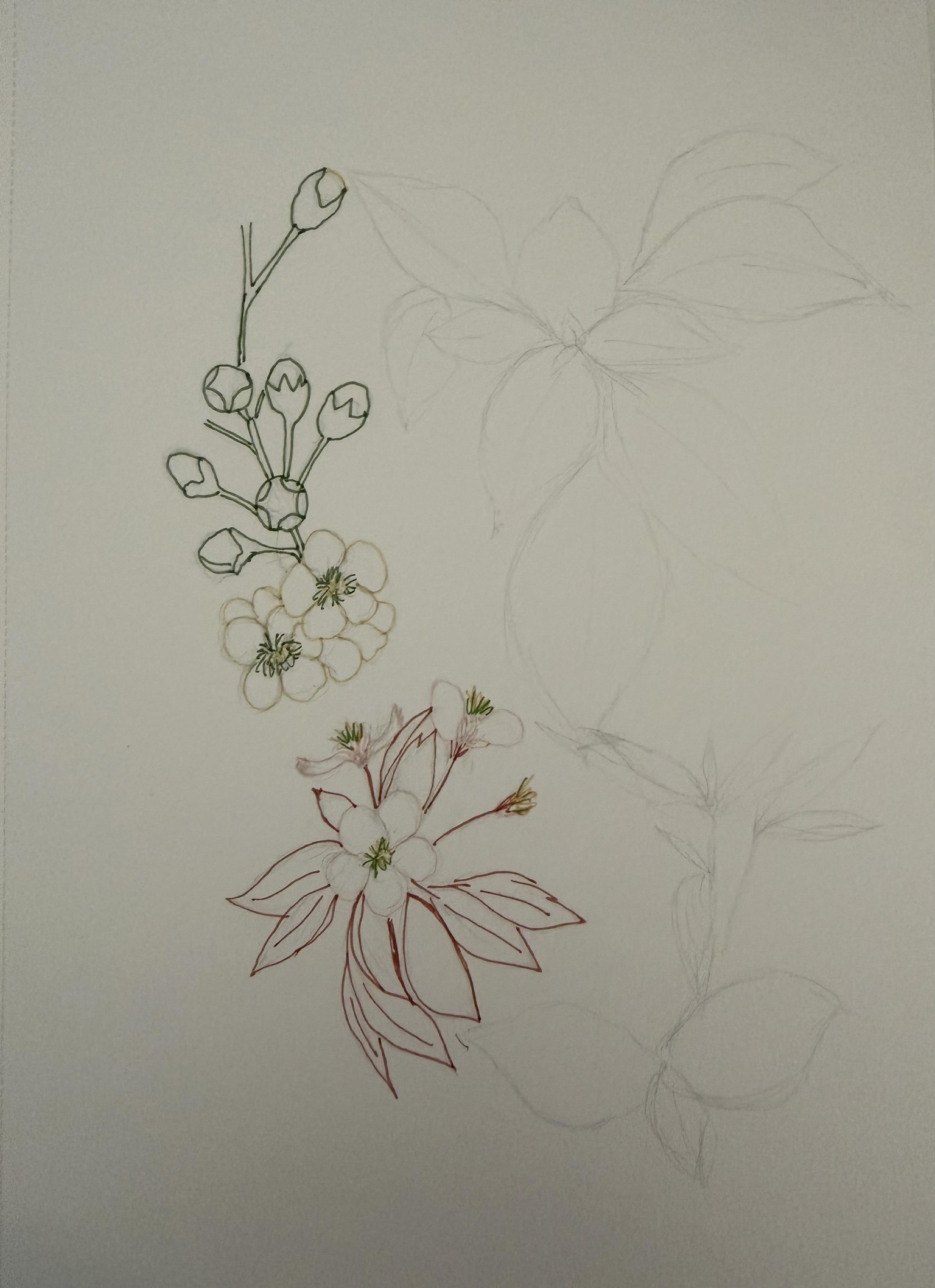 Out of My 2026 sketchbook - image 1 - student project
