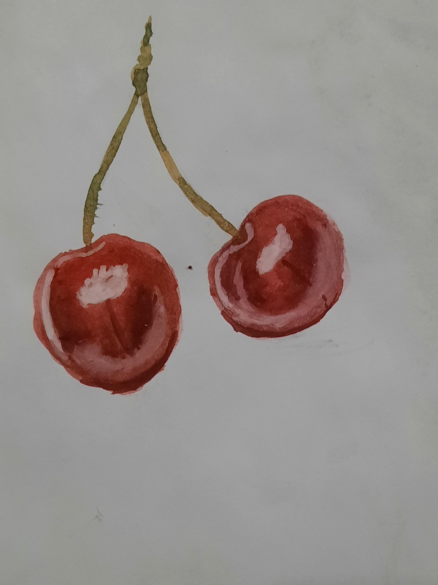Sketchbook Practice: Fruits - image 2 - student project