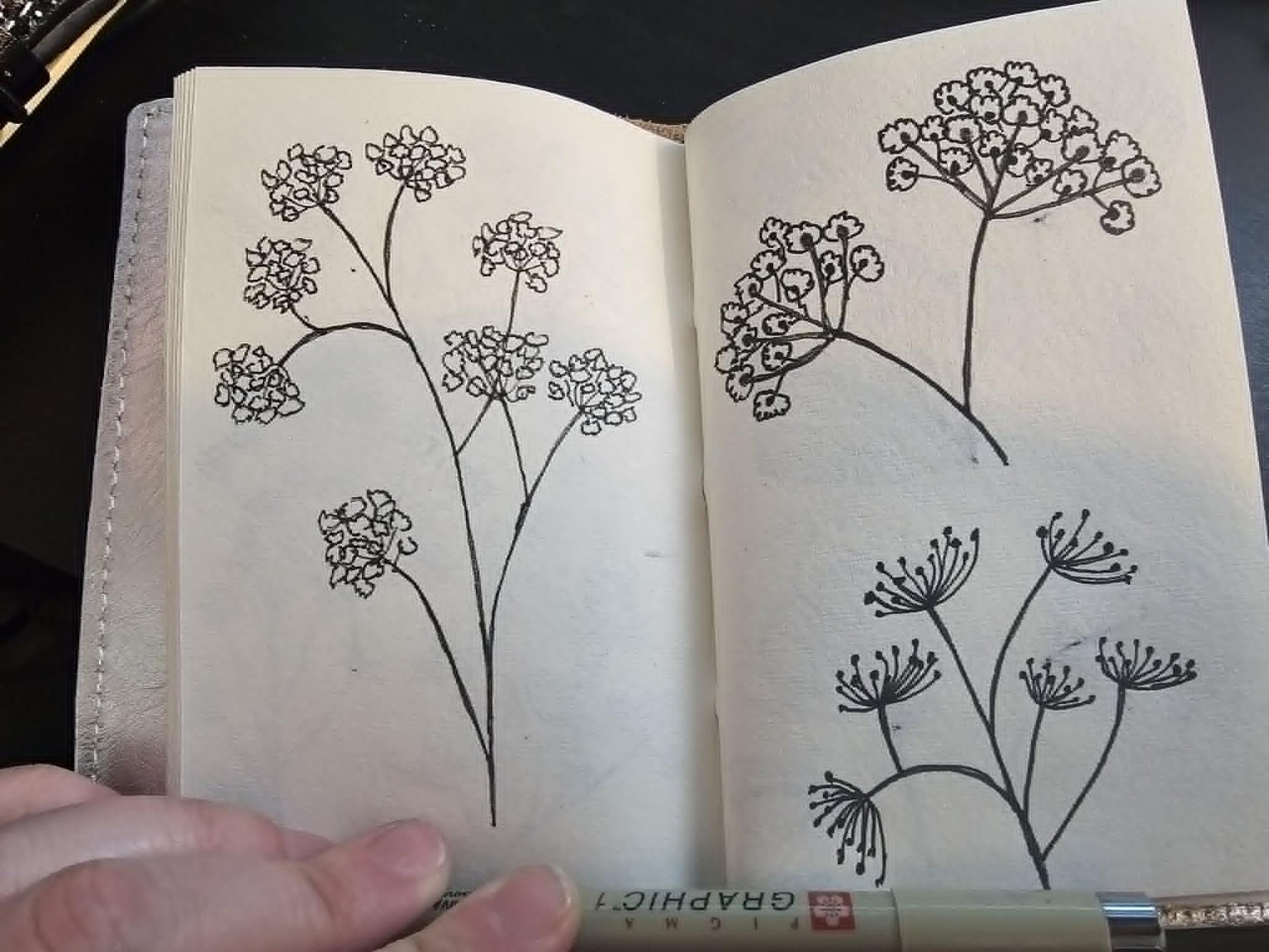Quelques feuillages - image 2 - student project
