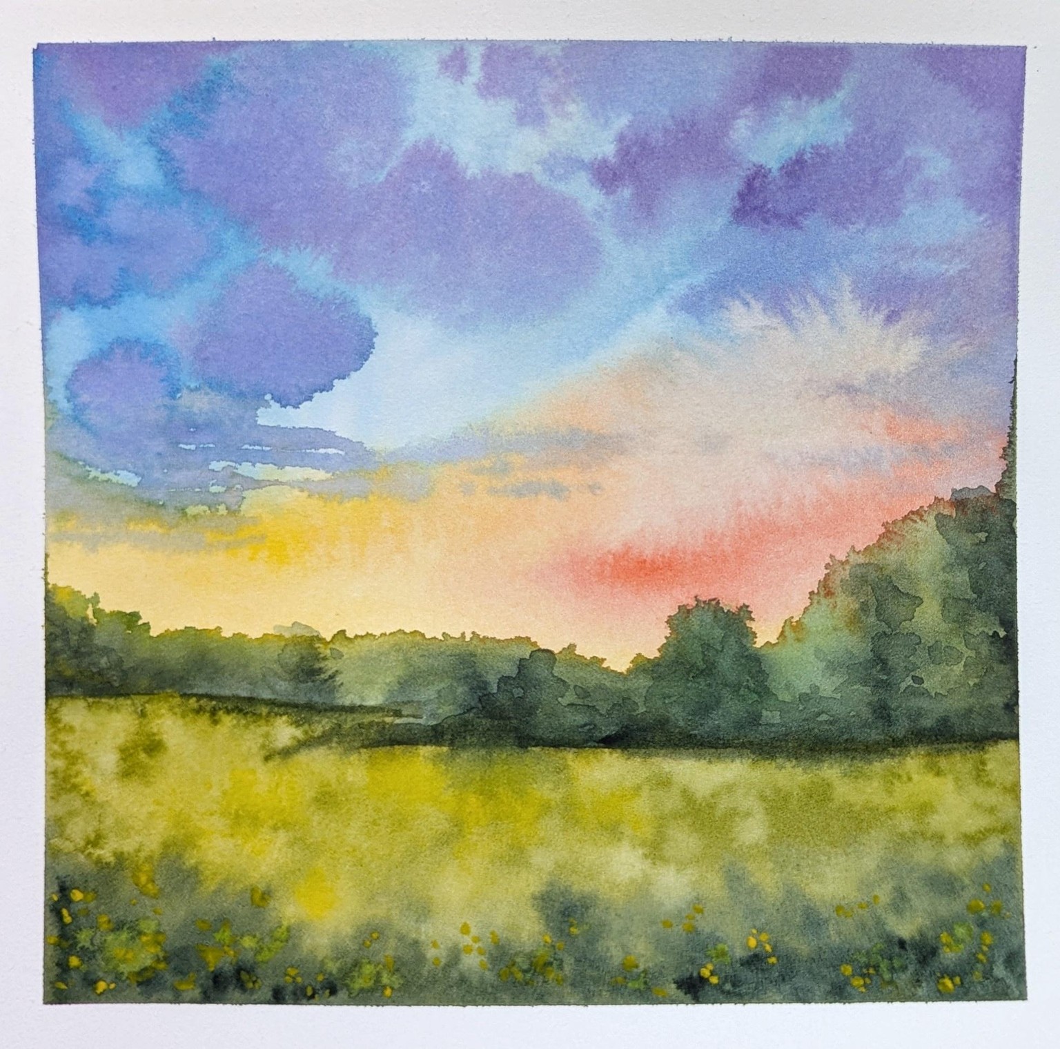 Watercolour Spring Sunset Meadow - image 1 - student project