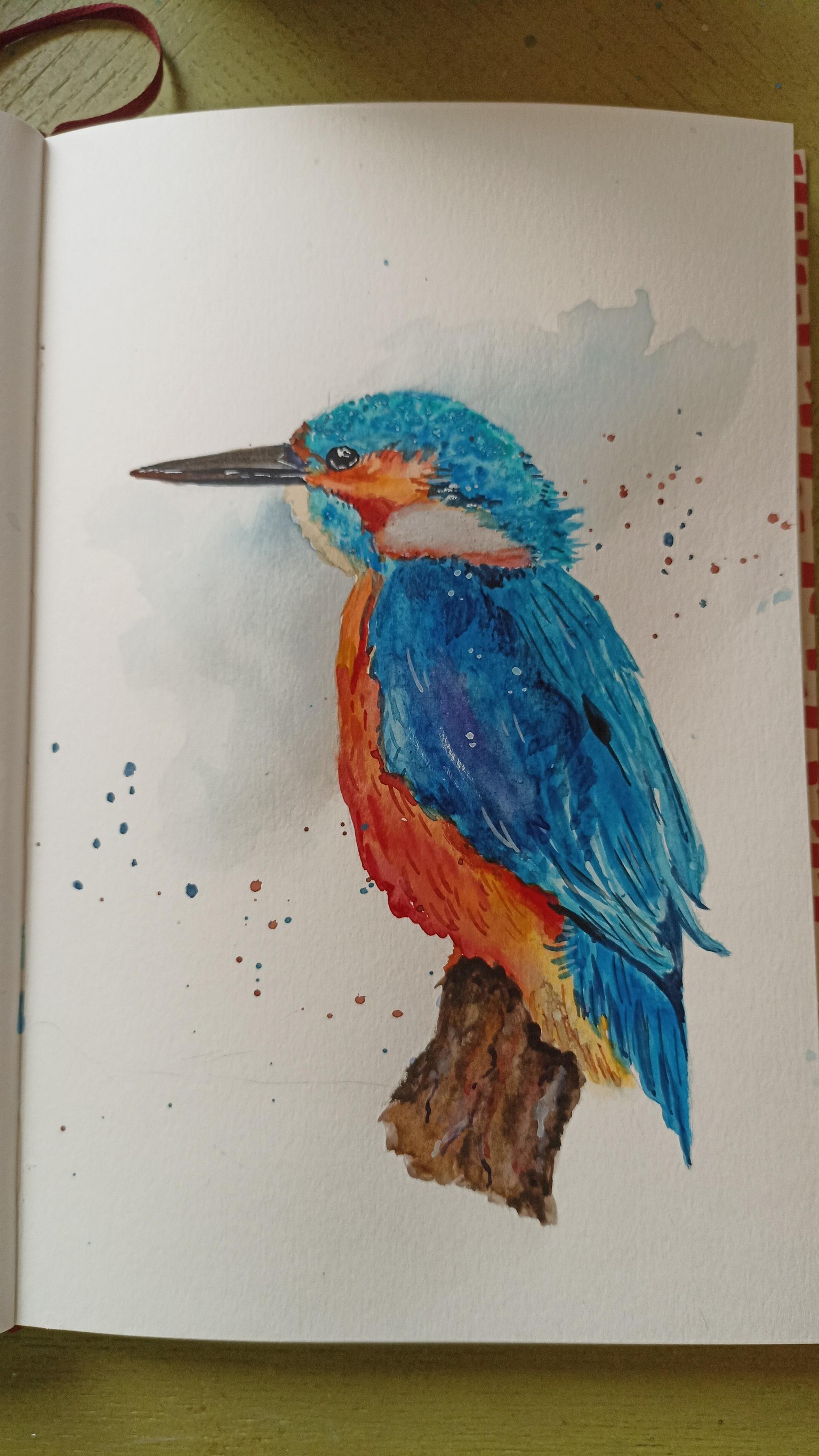Martin-pêcheur - image 1 - student project