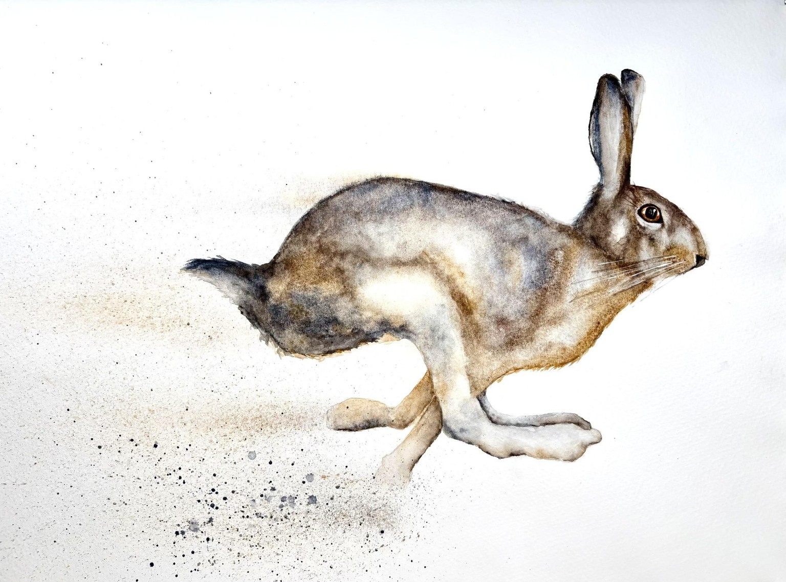 Galloping Hare - image 1 - student project
