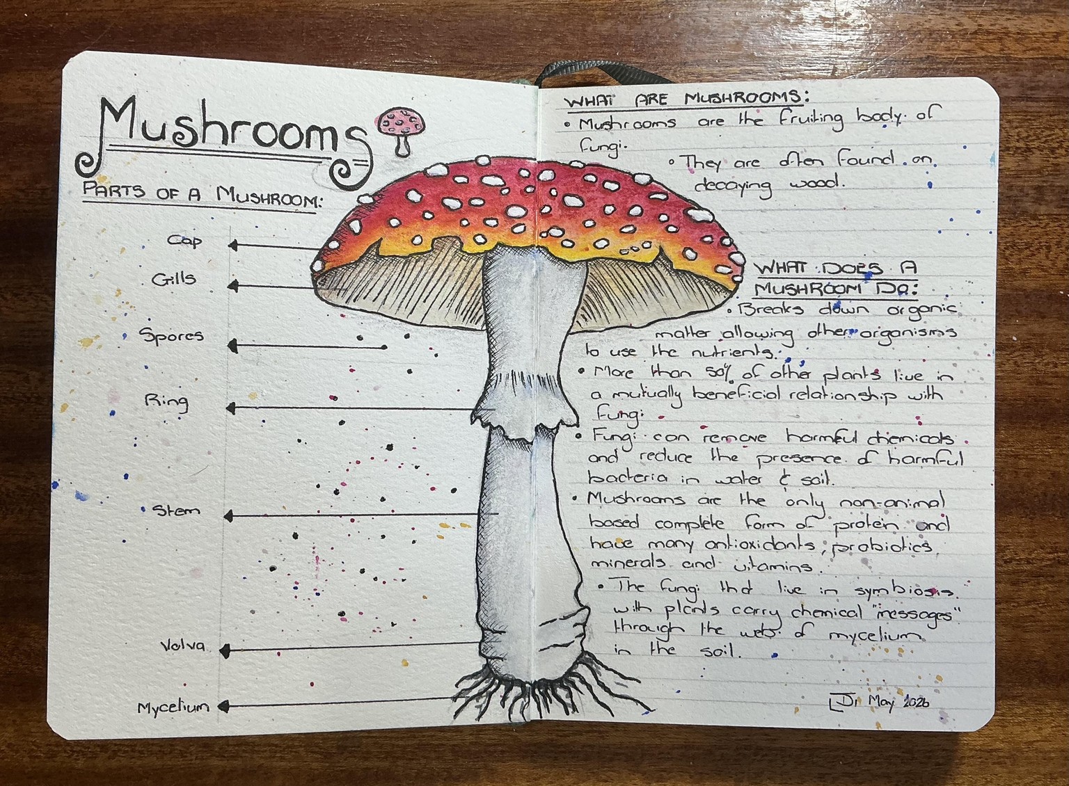 Mushroom Everyday Page - image 1 - student project