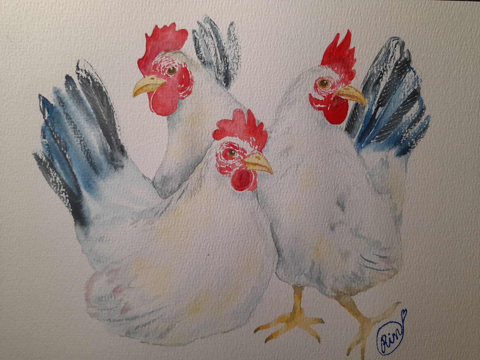 3 hen - image 1 - student project