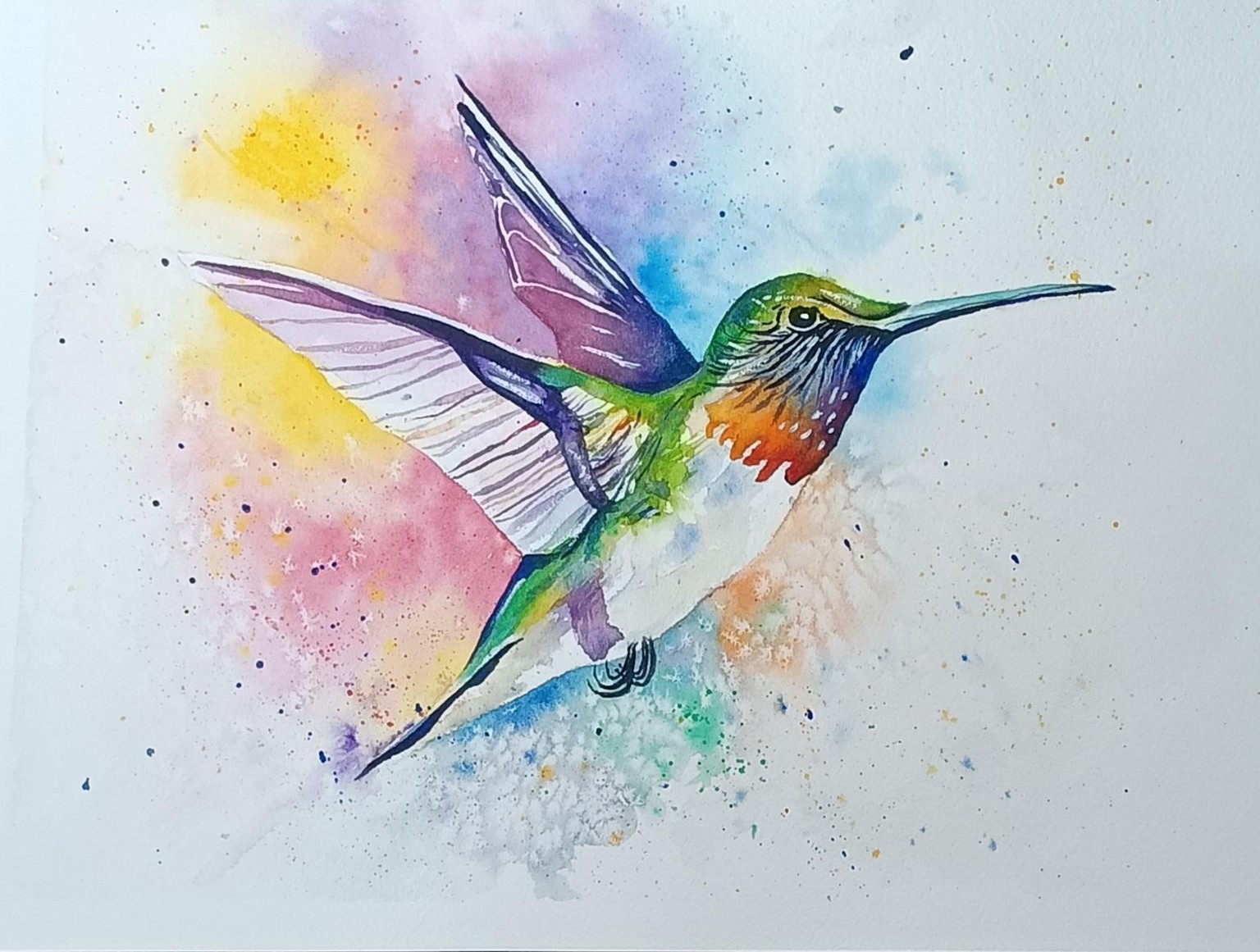 Colorful Hummingbird - image 1 - student project