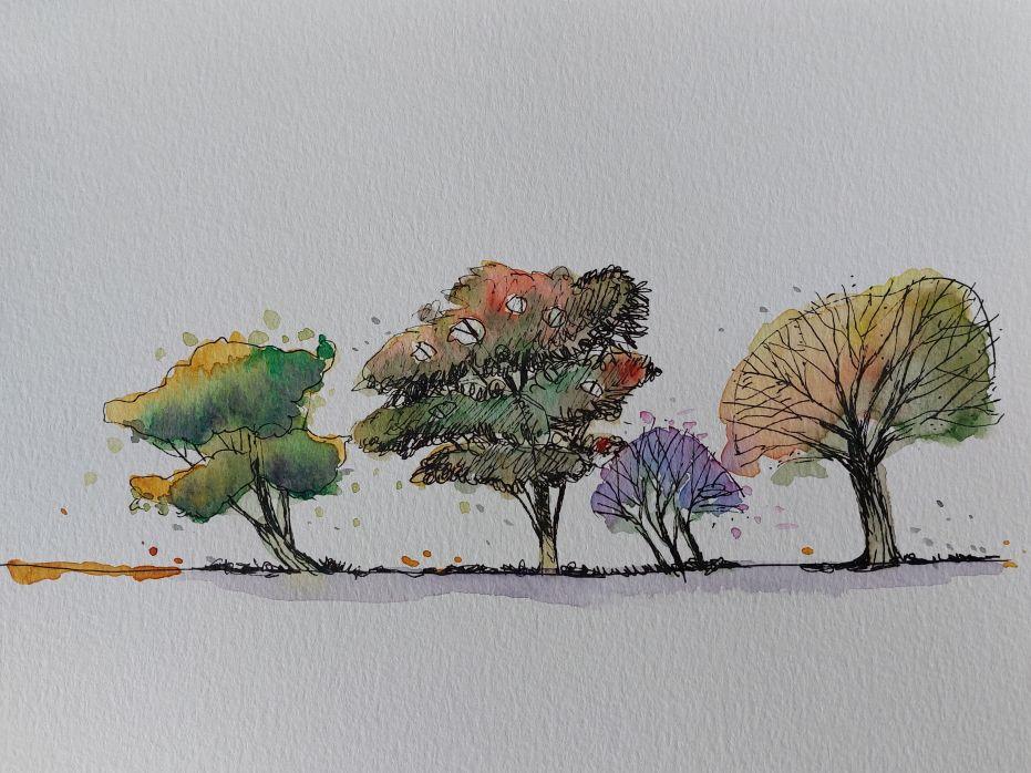 Sketching Cars, Trees and Furnishing - image 2 - student project