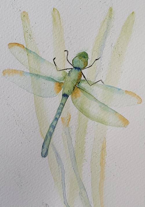 Dragonfly - image 1 - student project