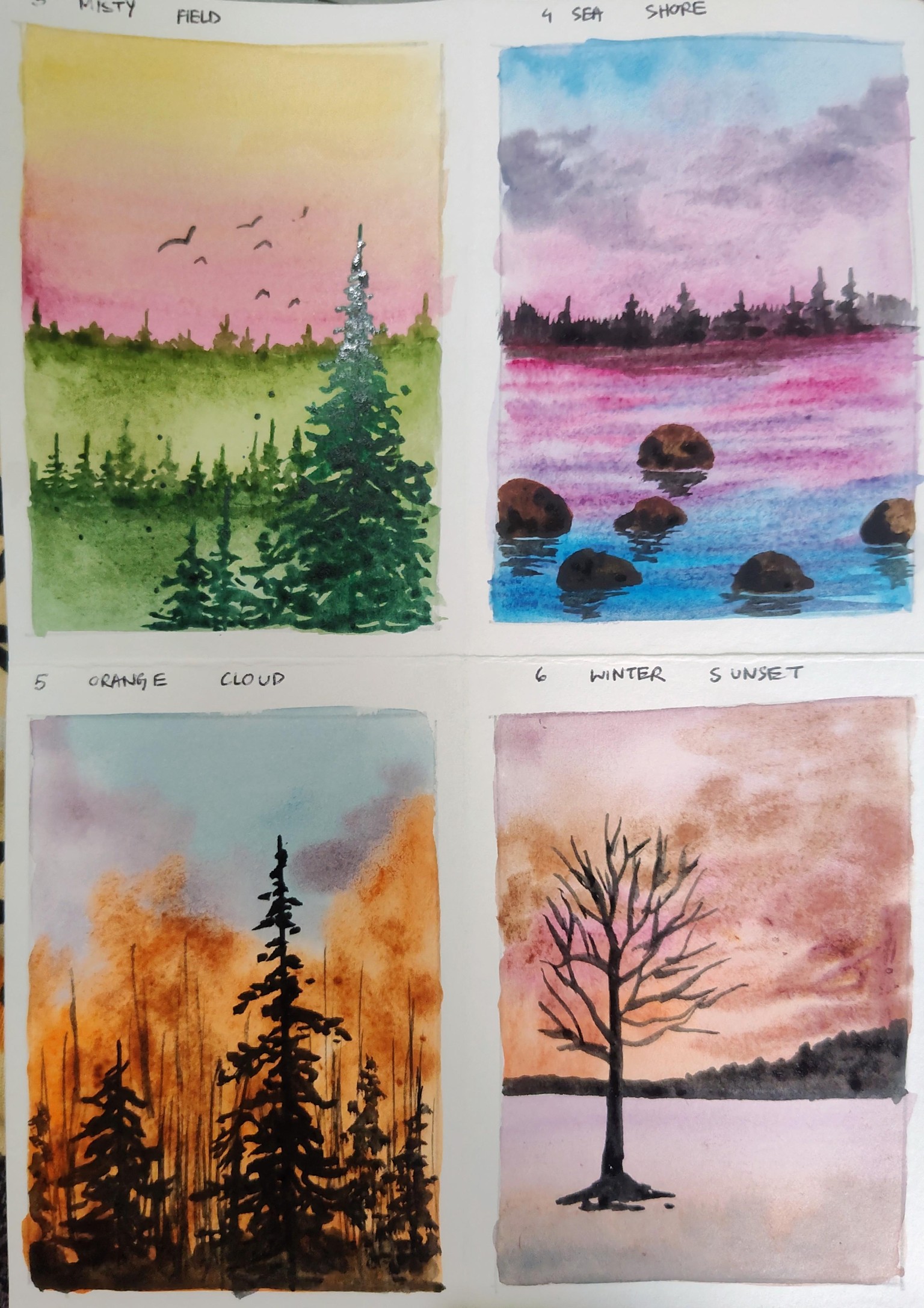 20 days watercolor with Umashree - image 3 - student project