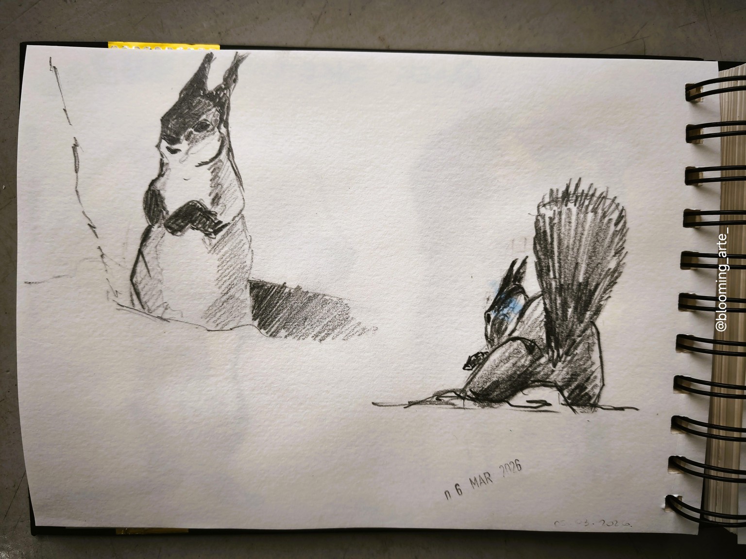Pencil Sketching: quick and loose animals - image 9 - student project